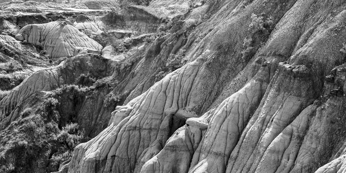 Dinosaur Provincial Park, Alberta