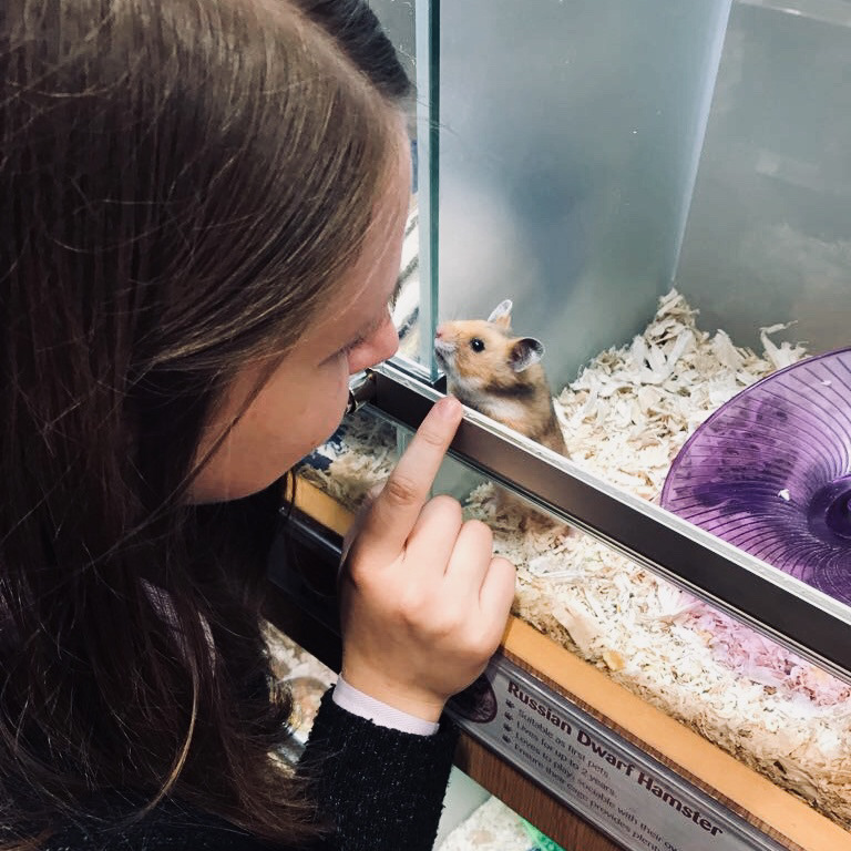 The day we met at Pets at Home!