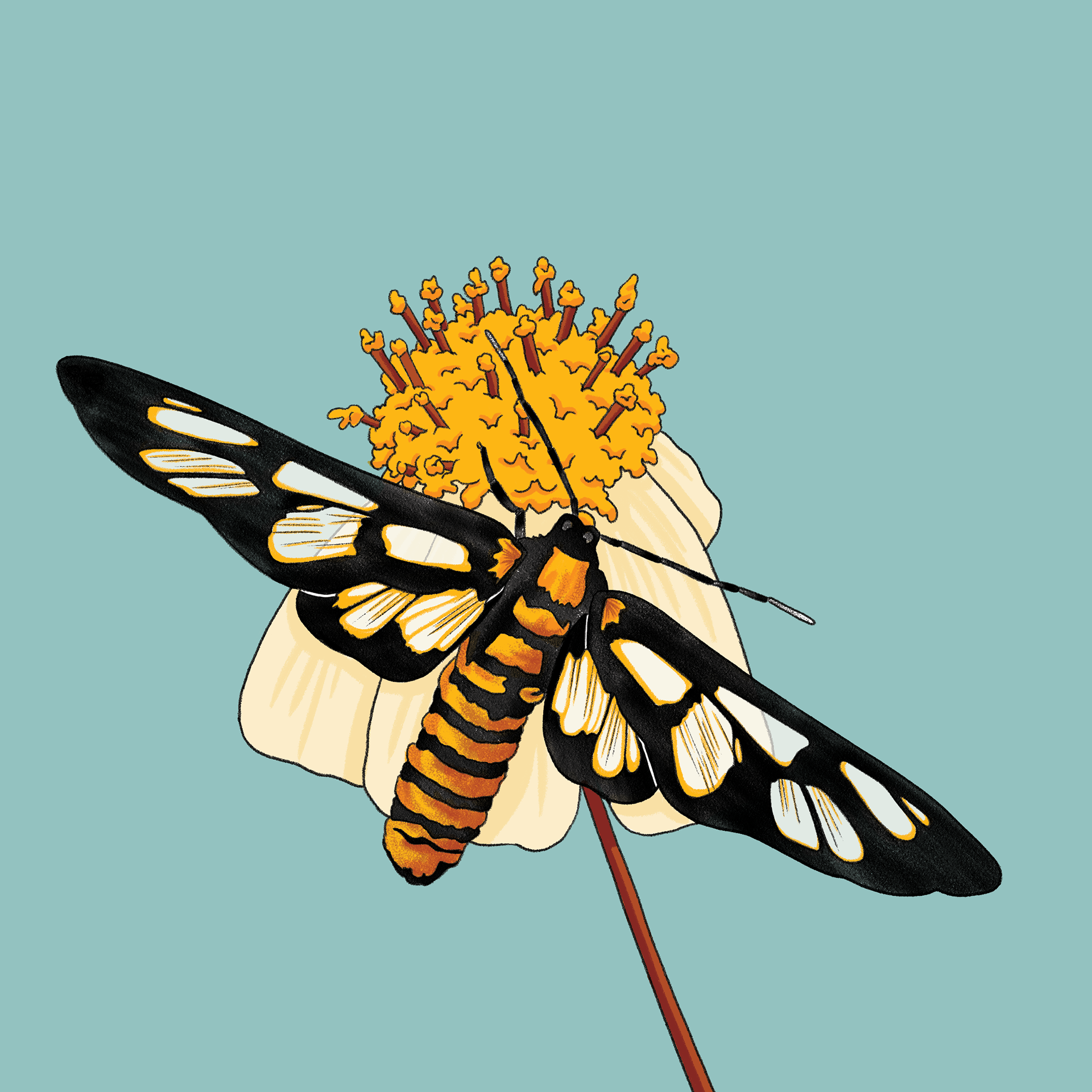 Fragile