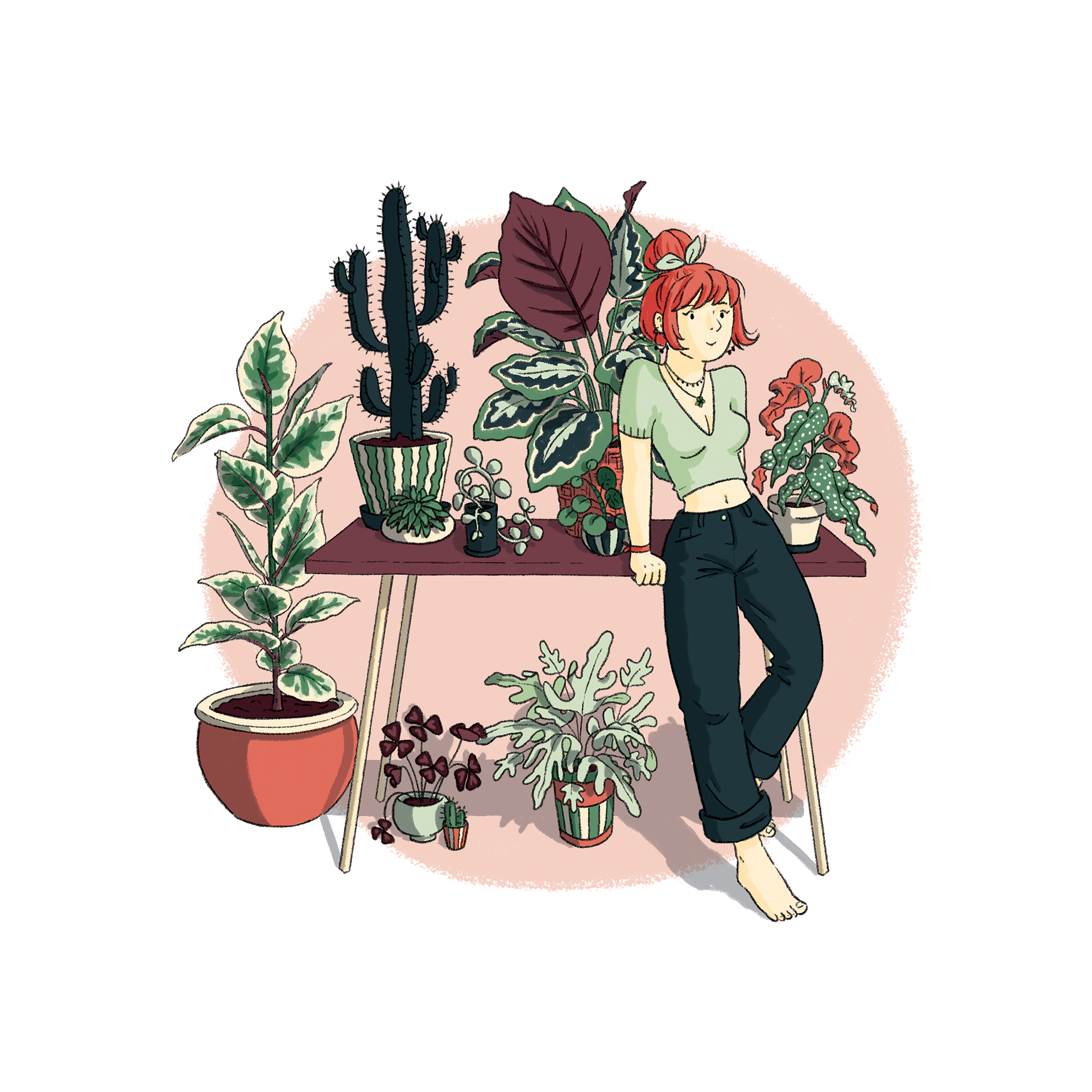Jolies plantes