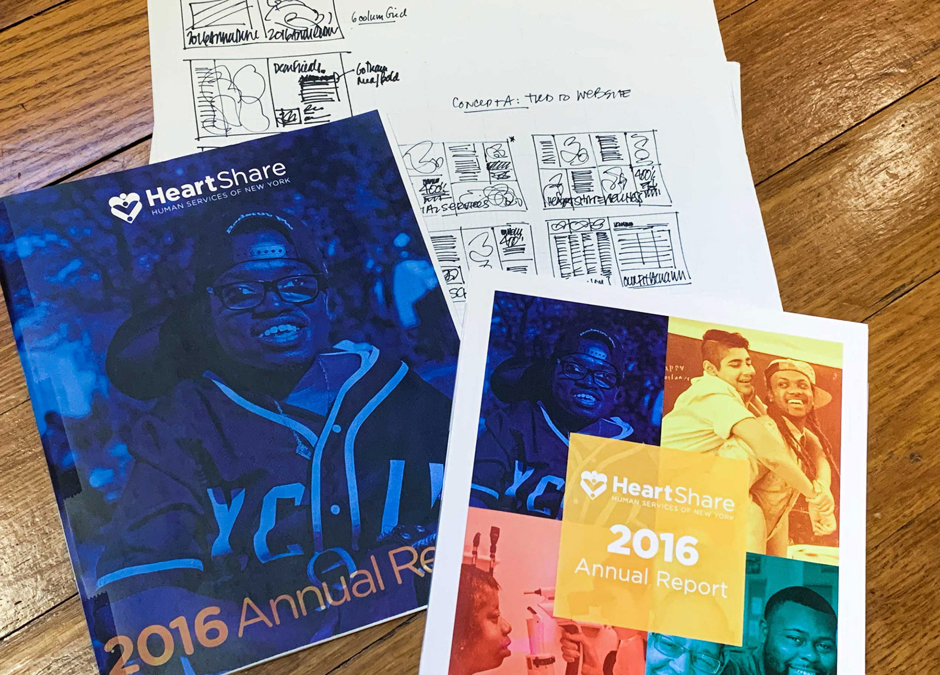 2016 heartshare ny annual report concept mockups