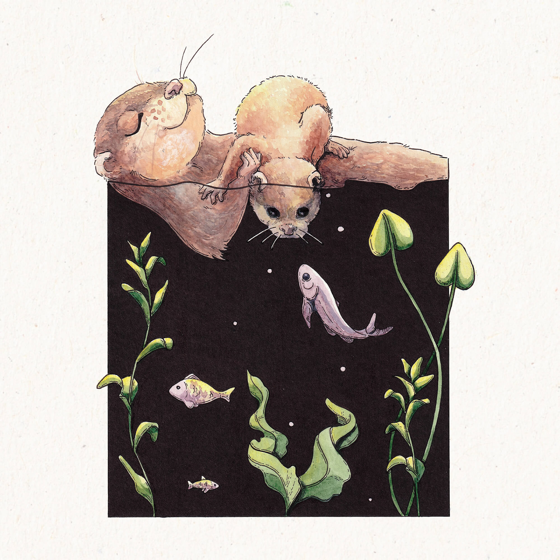 Otter Mother - Watercolour illustration