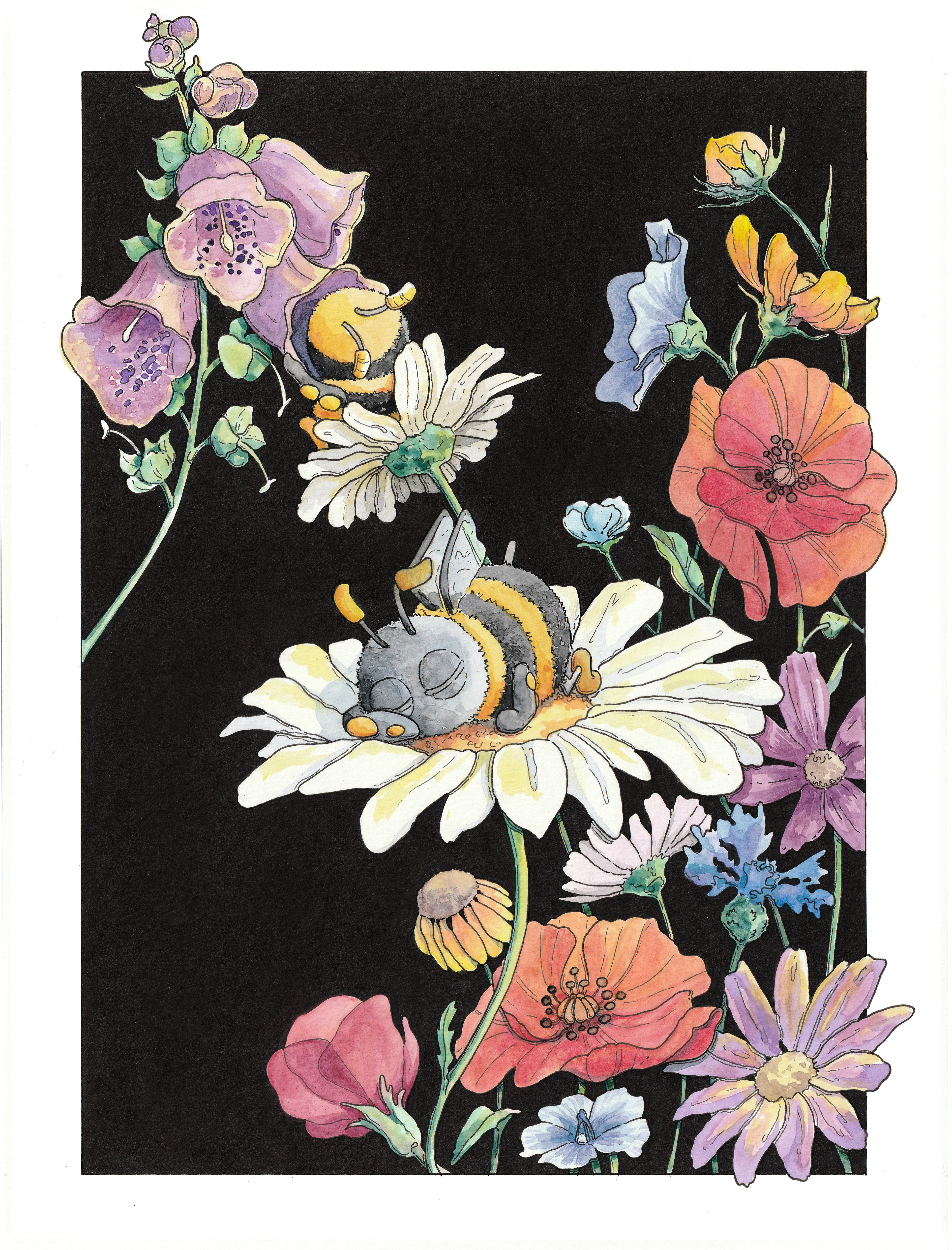 Bumblebee naps - Watercolour Illustration