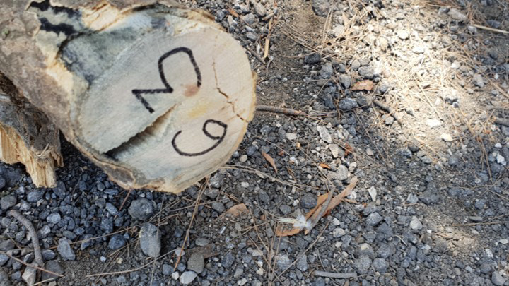 Numbering