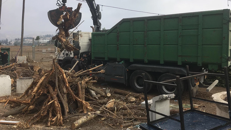 Timber collection
