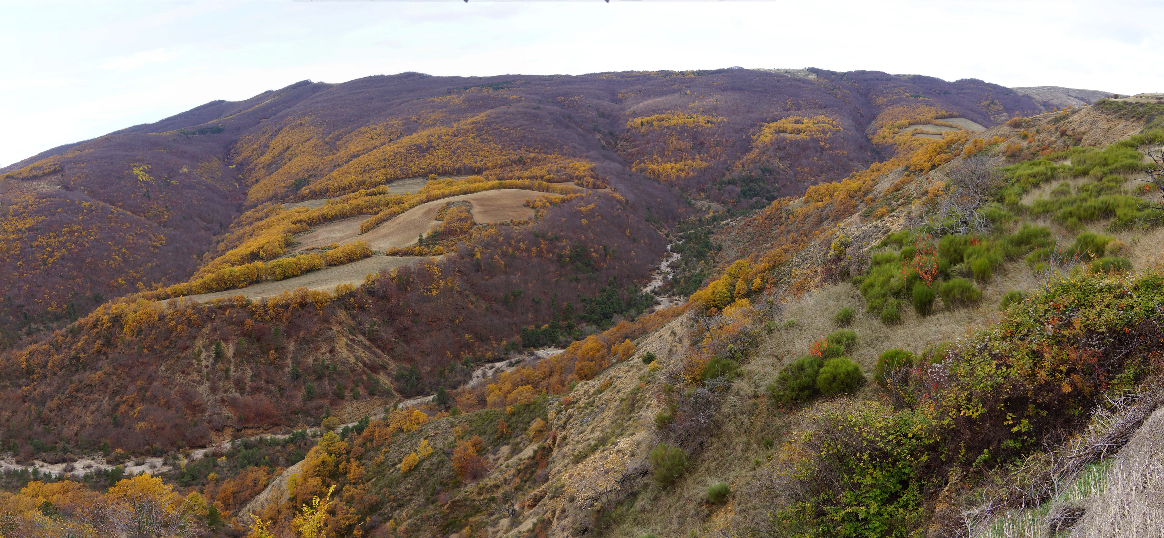 Ravin des Graves et montagne colline de Saint-Joseph
