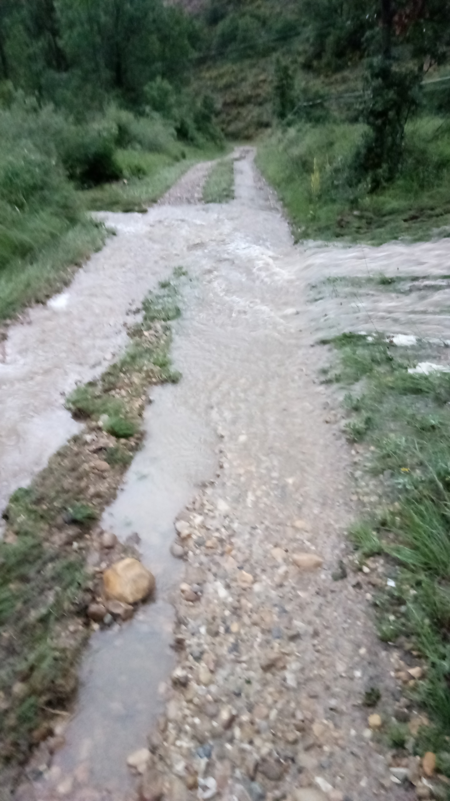 Dégâts occasionnés au chemin de la Combe par le débordement en amont du passage busé des vallons réunis des Chapus et de Roumégous ainsi que sur la droite arrivée de l'eau  qui déborde du dit-vallon plus amont dans le domaine privé