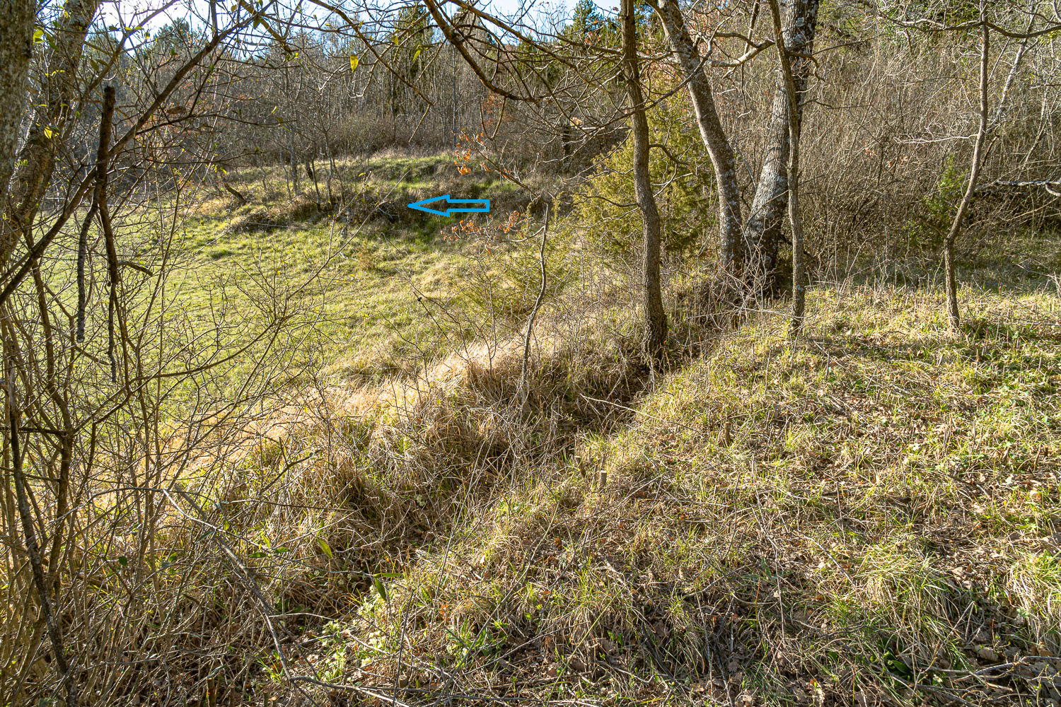 Traces encore bien visibles en 2023 ! du ruisseau descendant et de la déviation vers le coulet du Marchonnet