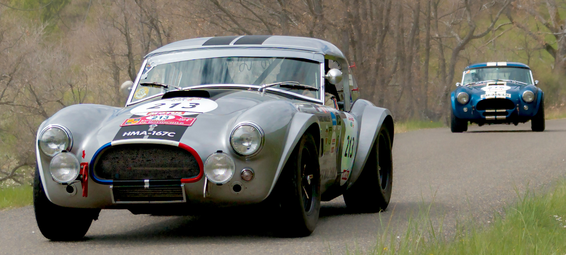 Shelby Cobra 289 / 1964