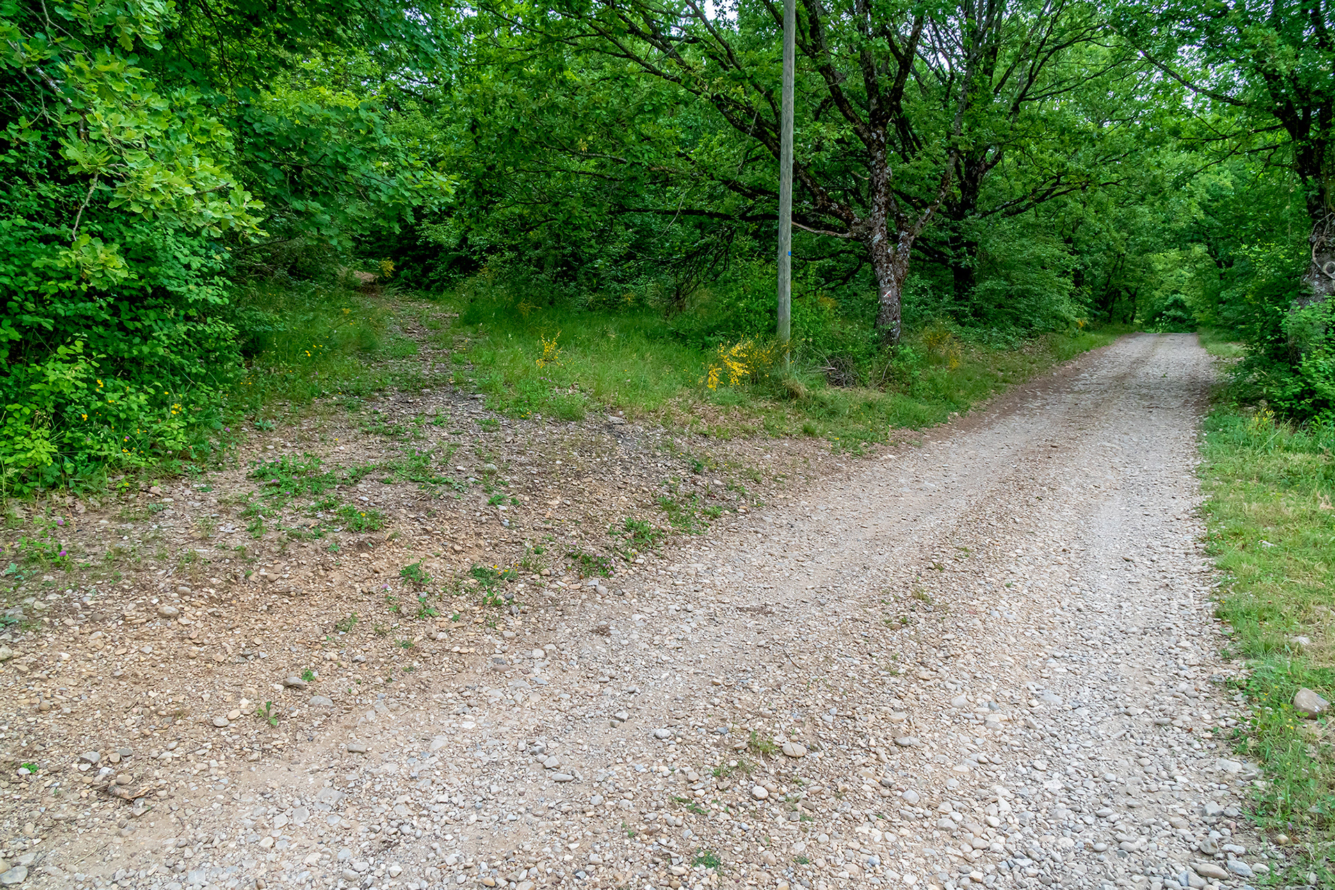 Changement de direction, précisément au niveau du poteau téléphonique
