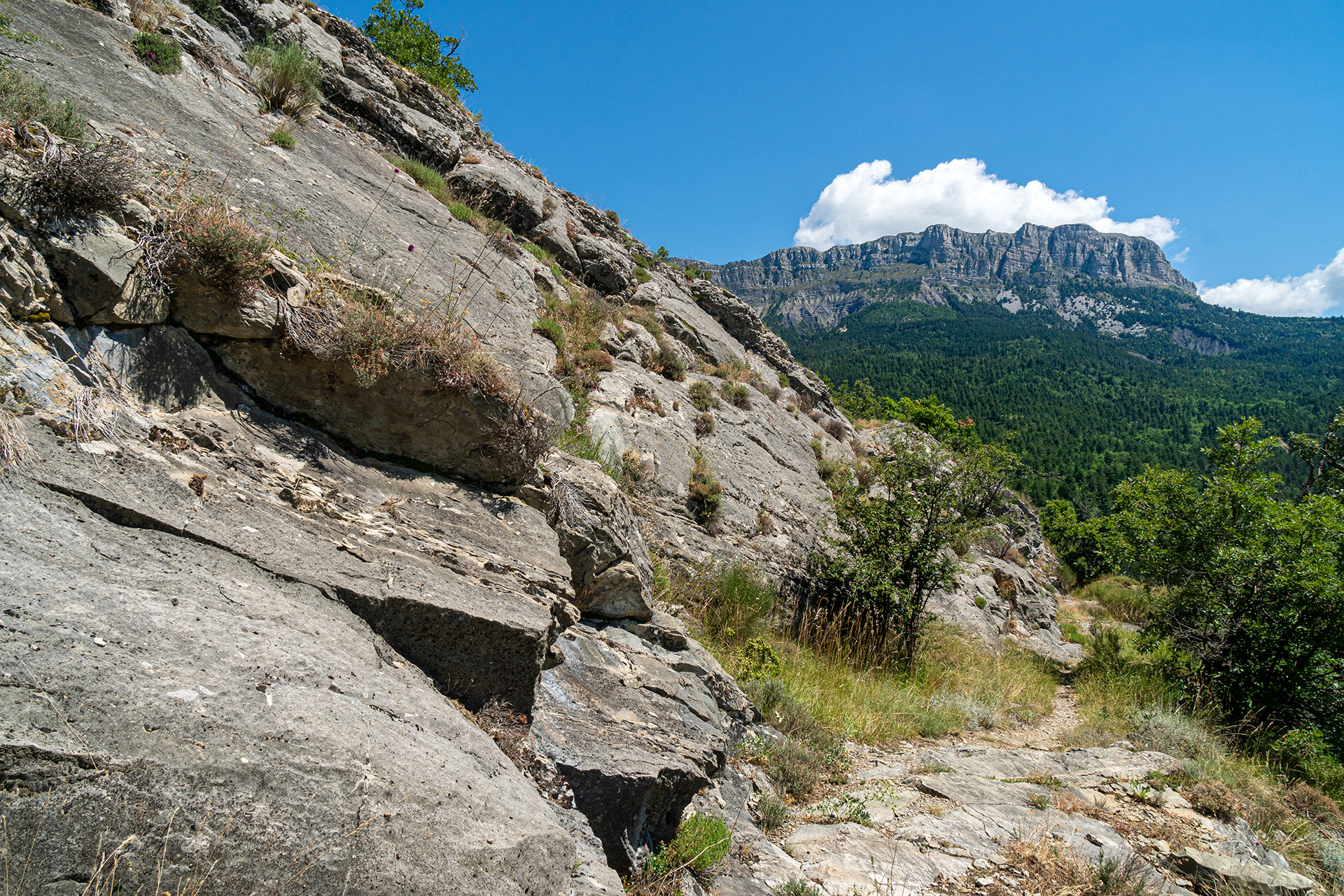 Sentier à flanc entre le Bramefan et le col de l'hysope