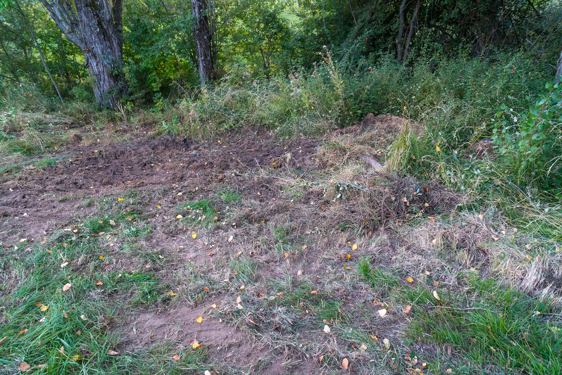 Zone concernée à proximité du vallon des Collons, passage de la canalisation selon acte de servitude établi en 2009