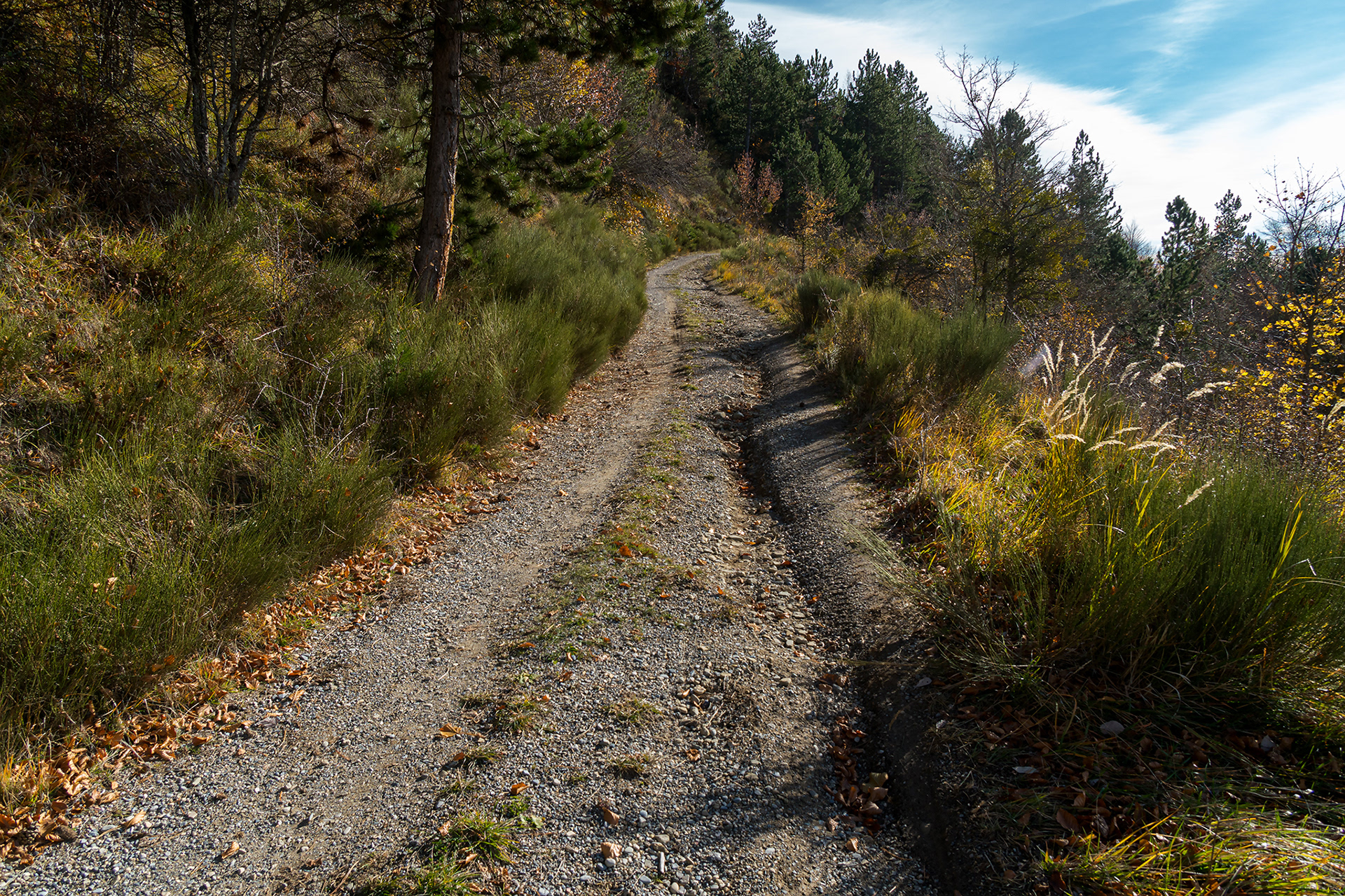 Chemin de Mounis, 26 novembre 2022