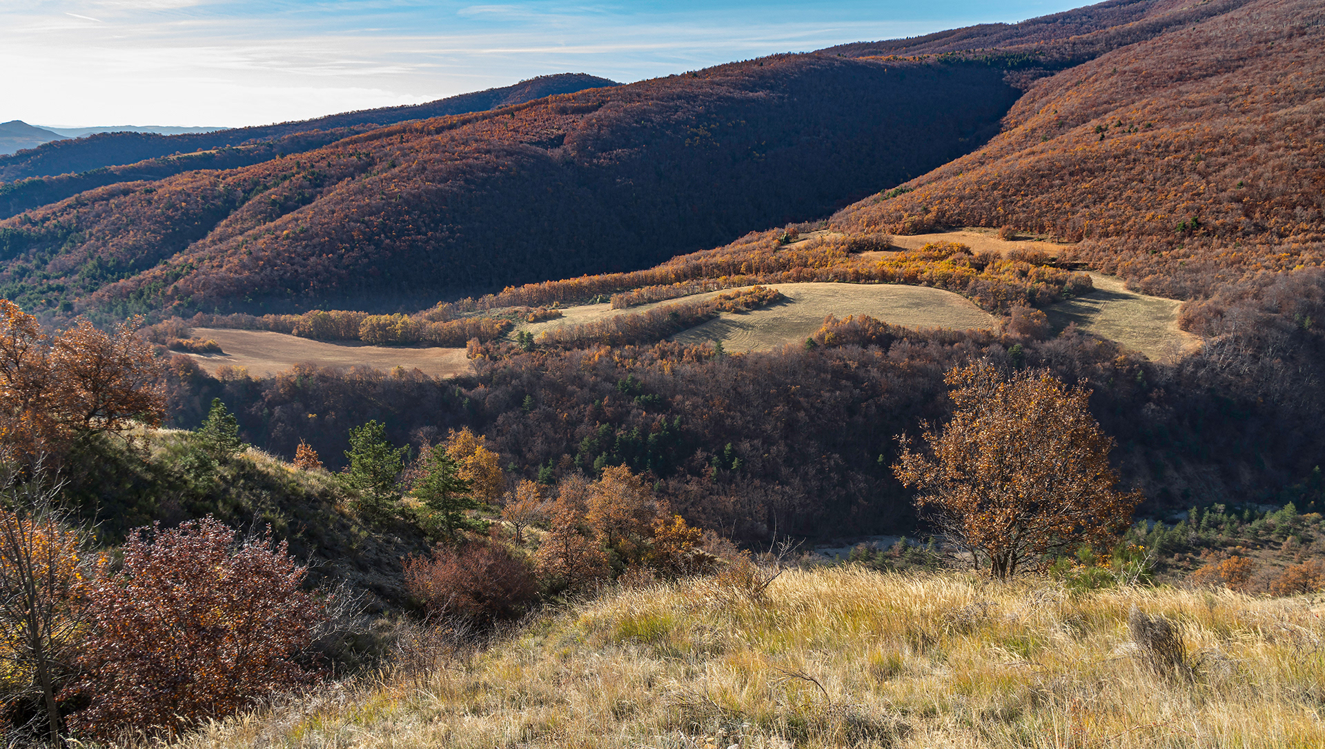 Commune du Castellard côté de la colline Saint-Joseph
