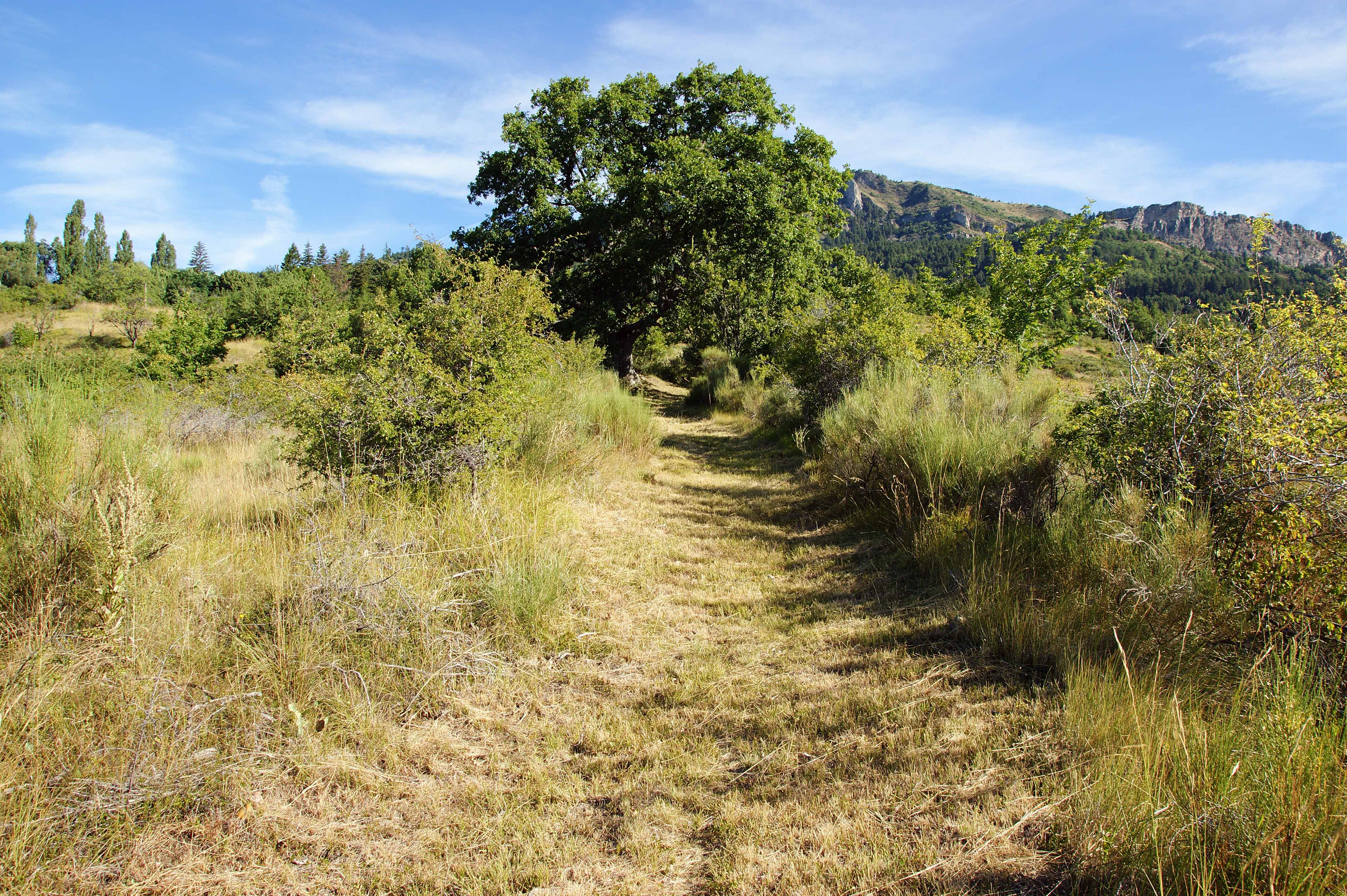 Les chemins ouverts au public