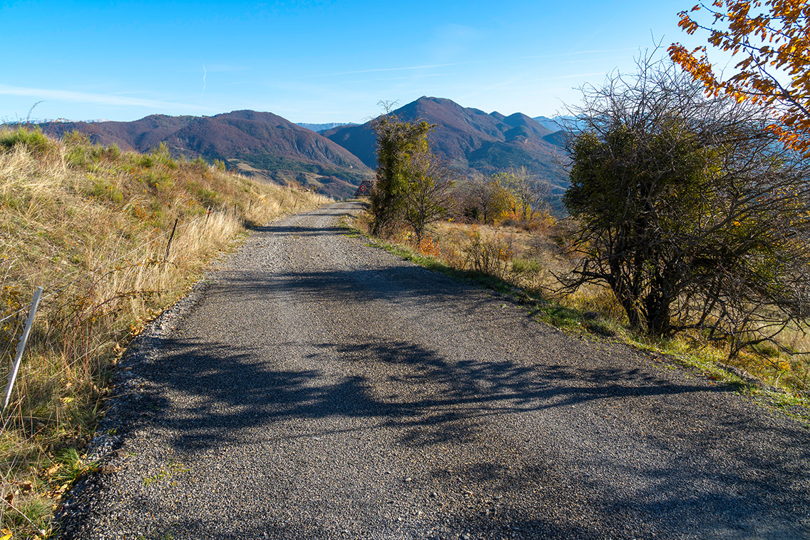 Chemin de Mounis, 24 novembre 2023