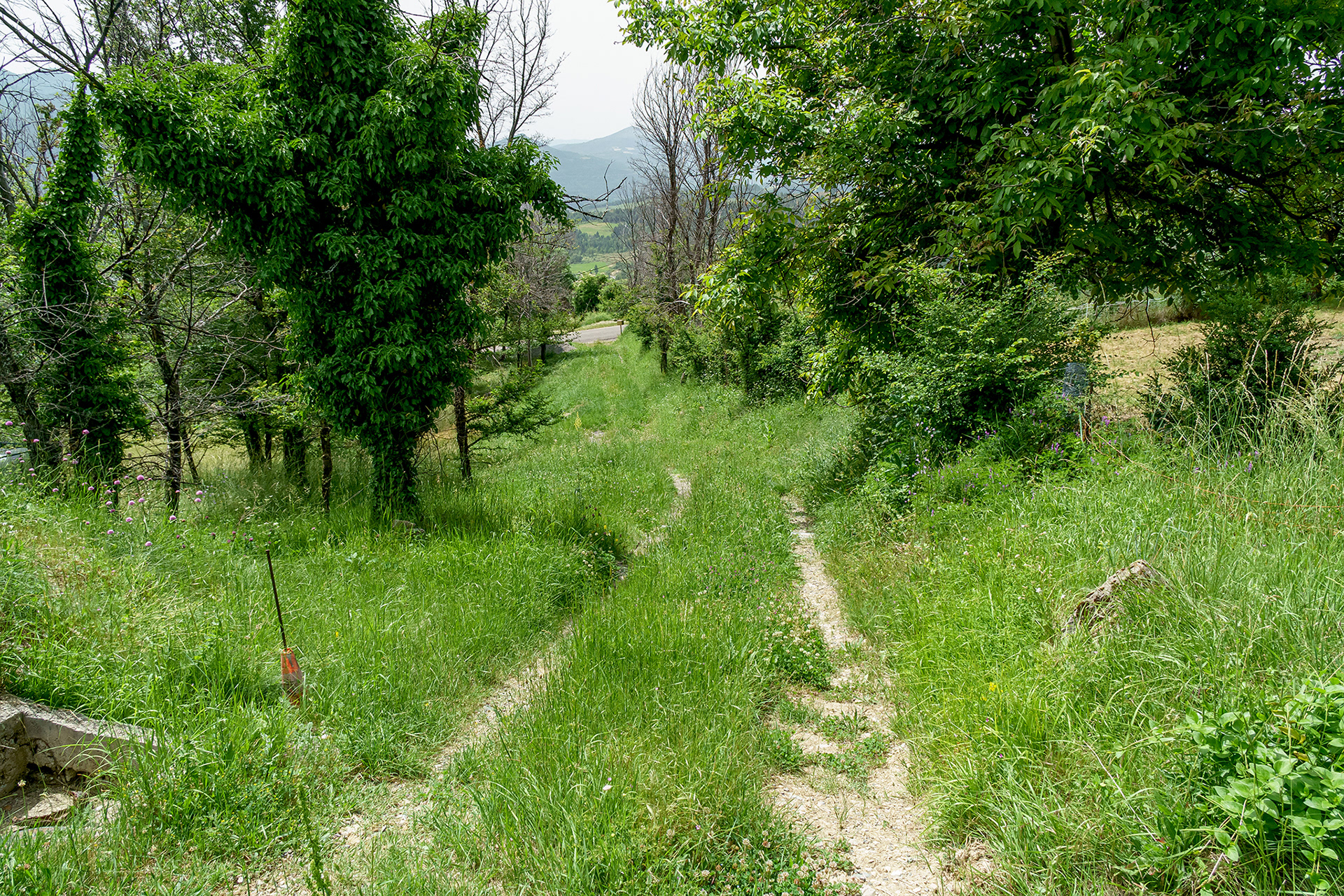 Descente de Mélan à Fontbarlière, chemin rural réouvert intégralement en 2020