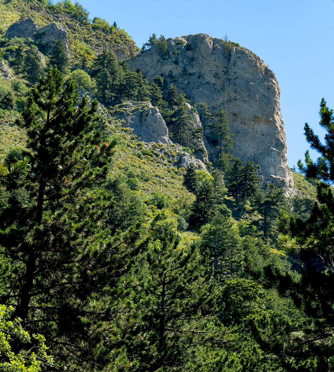 En aval de la Grande Aiguille - Montagne de Mélan