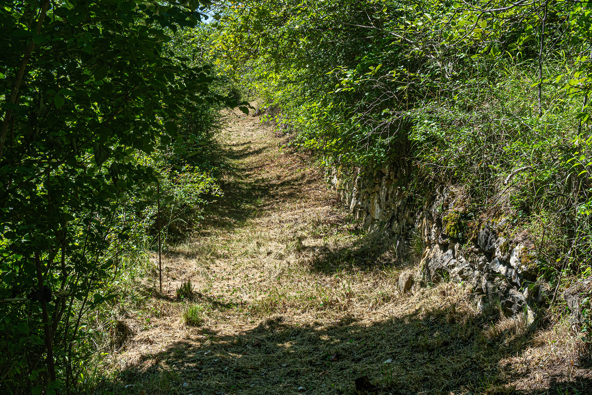 Chemin de Font d'Enfret (retour)