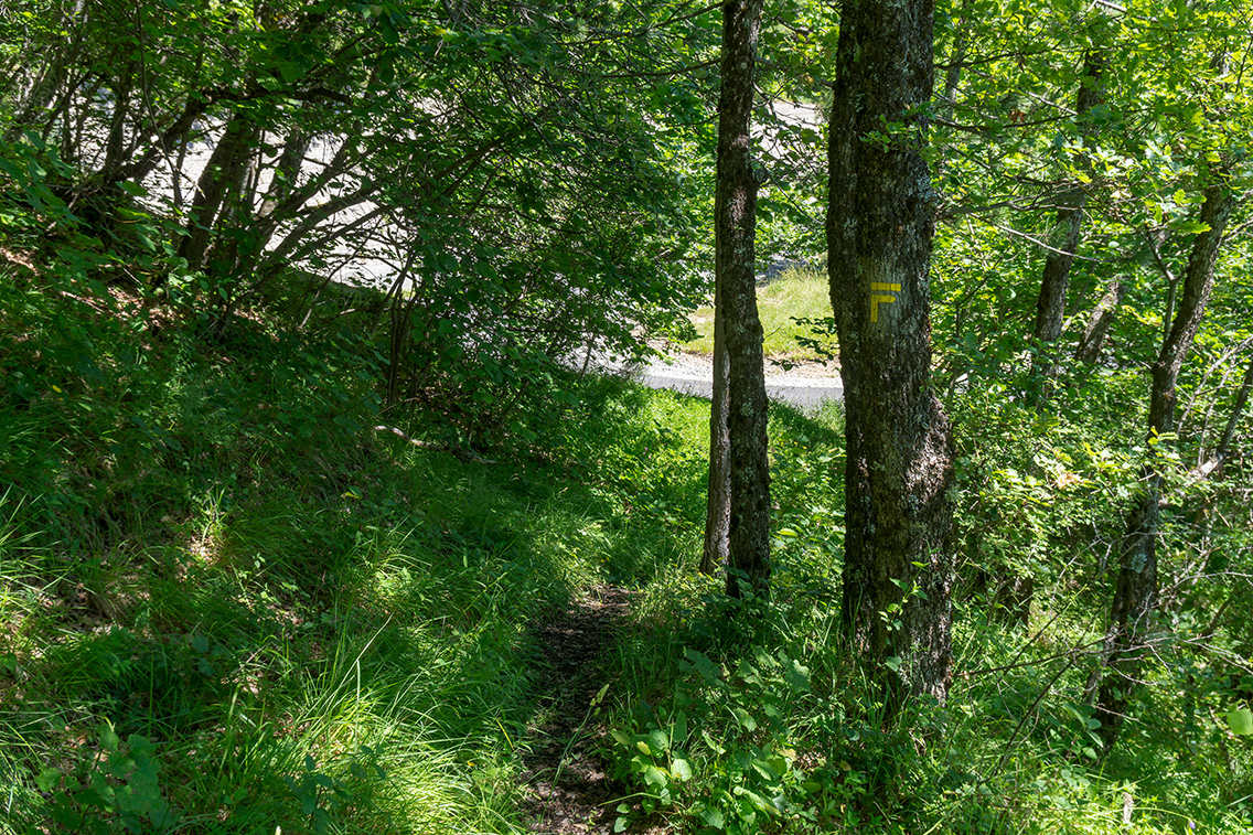 Un court tronçon descendant (100 m env) de route départementale D3