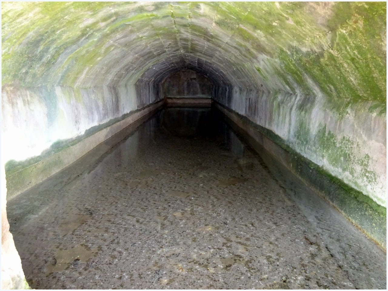 La Source de La Pérusse : bien fraîche pour se désaltérer 😋