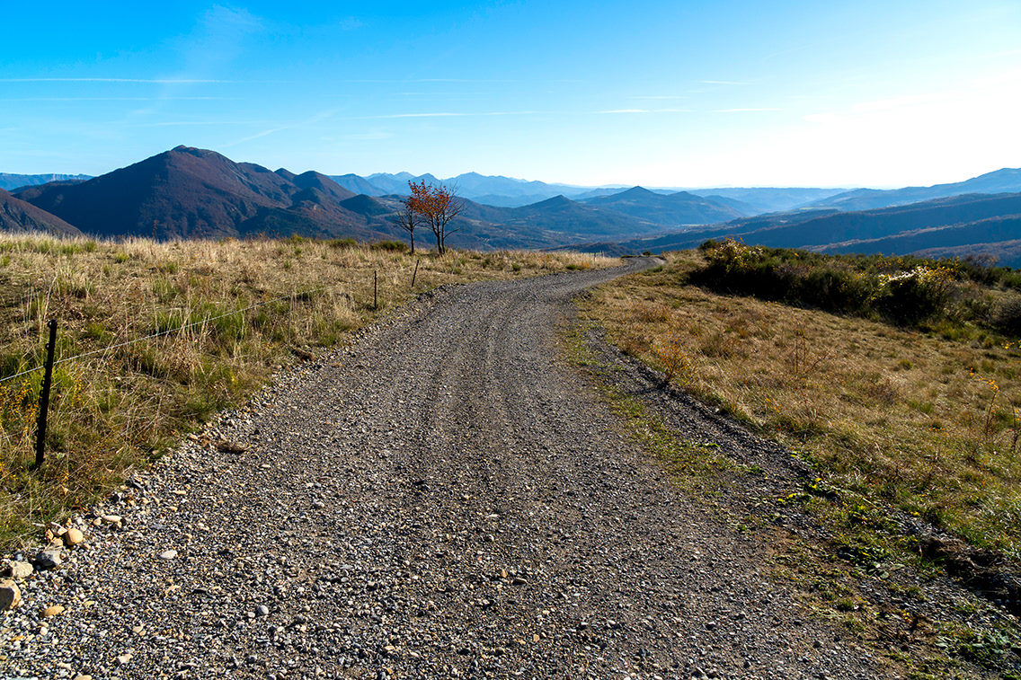 Chemin de Mounis, 24 novembre 2023