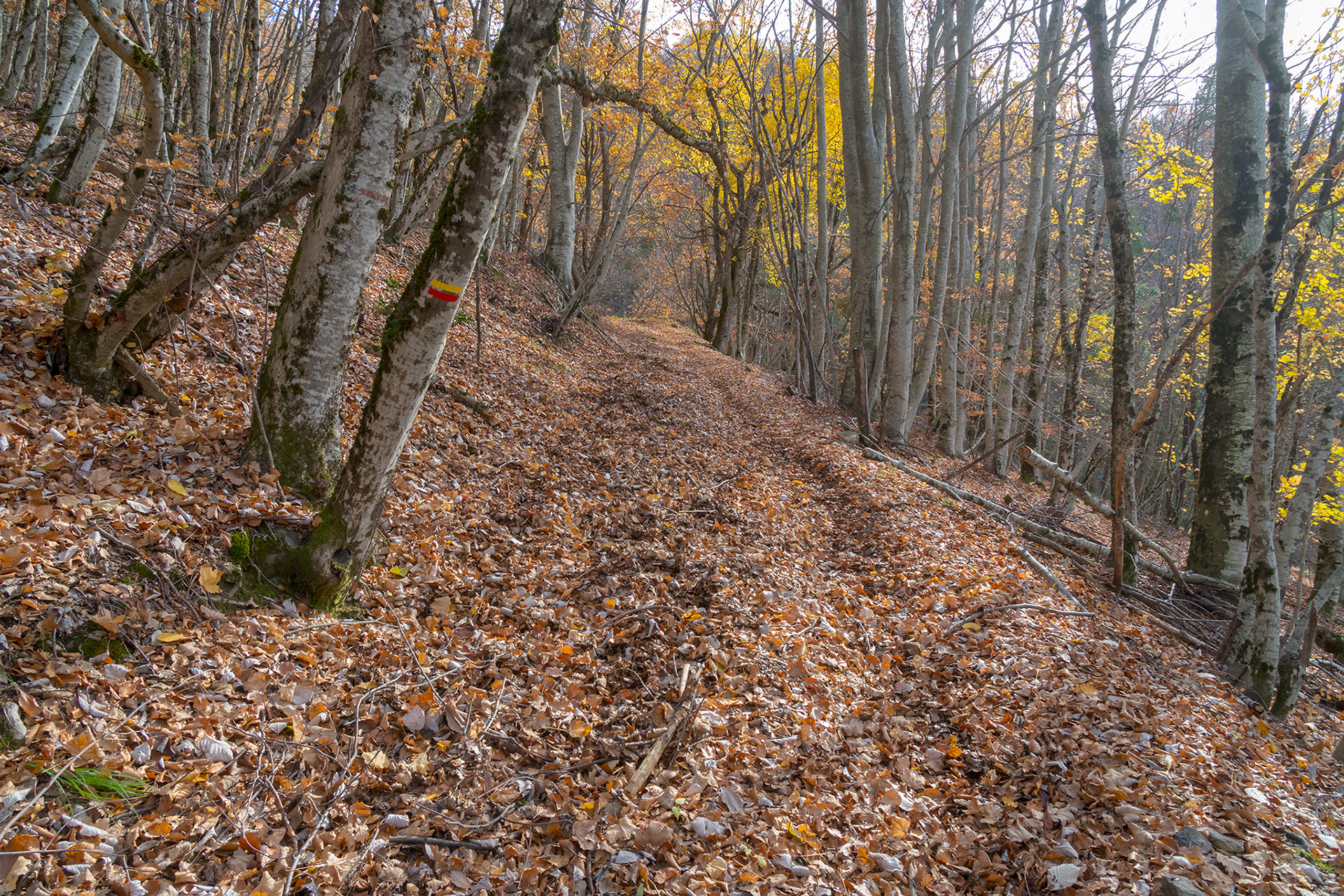 Sentier de la GTPA vers le col de Mounis, Mélan et la colline Saint-Joseph, Thoard