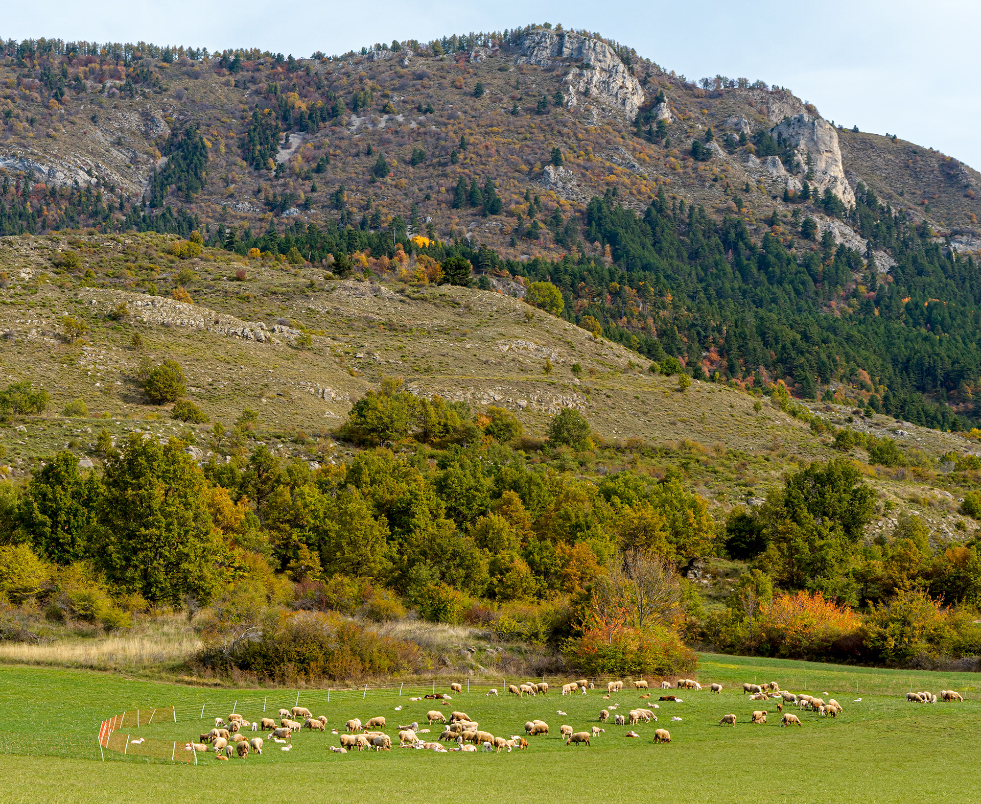 Montagne de Mélan, la Grande Aiguille