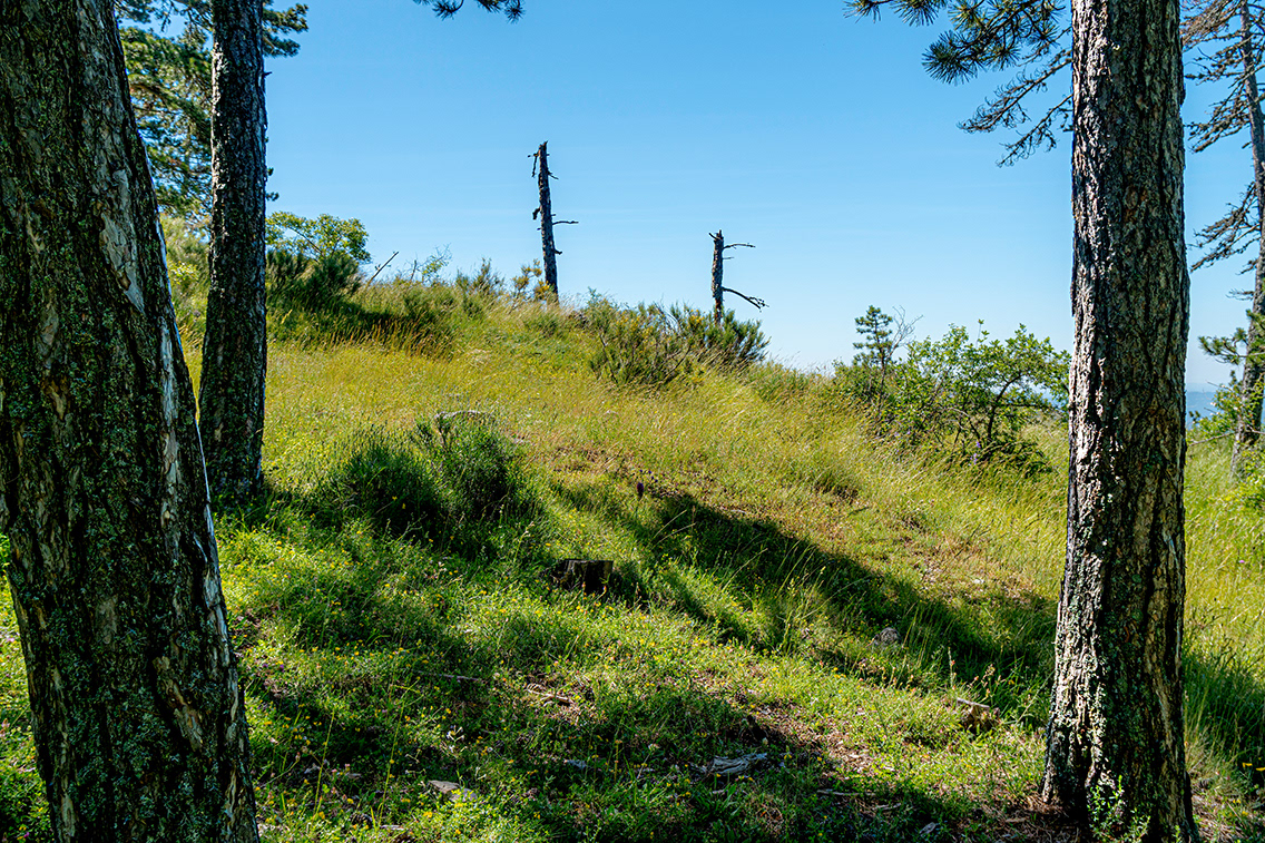 Au Vieux Mélan, vers promontoire de vue de la vallée des Duyes