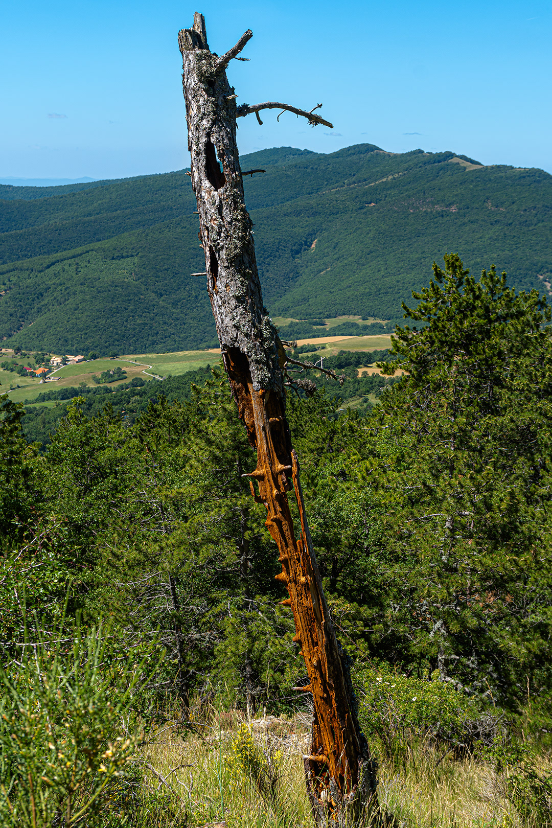Aperçu du hameau du Castellard et du sommet de Vaumuse