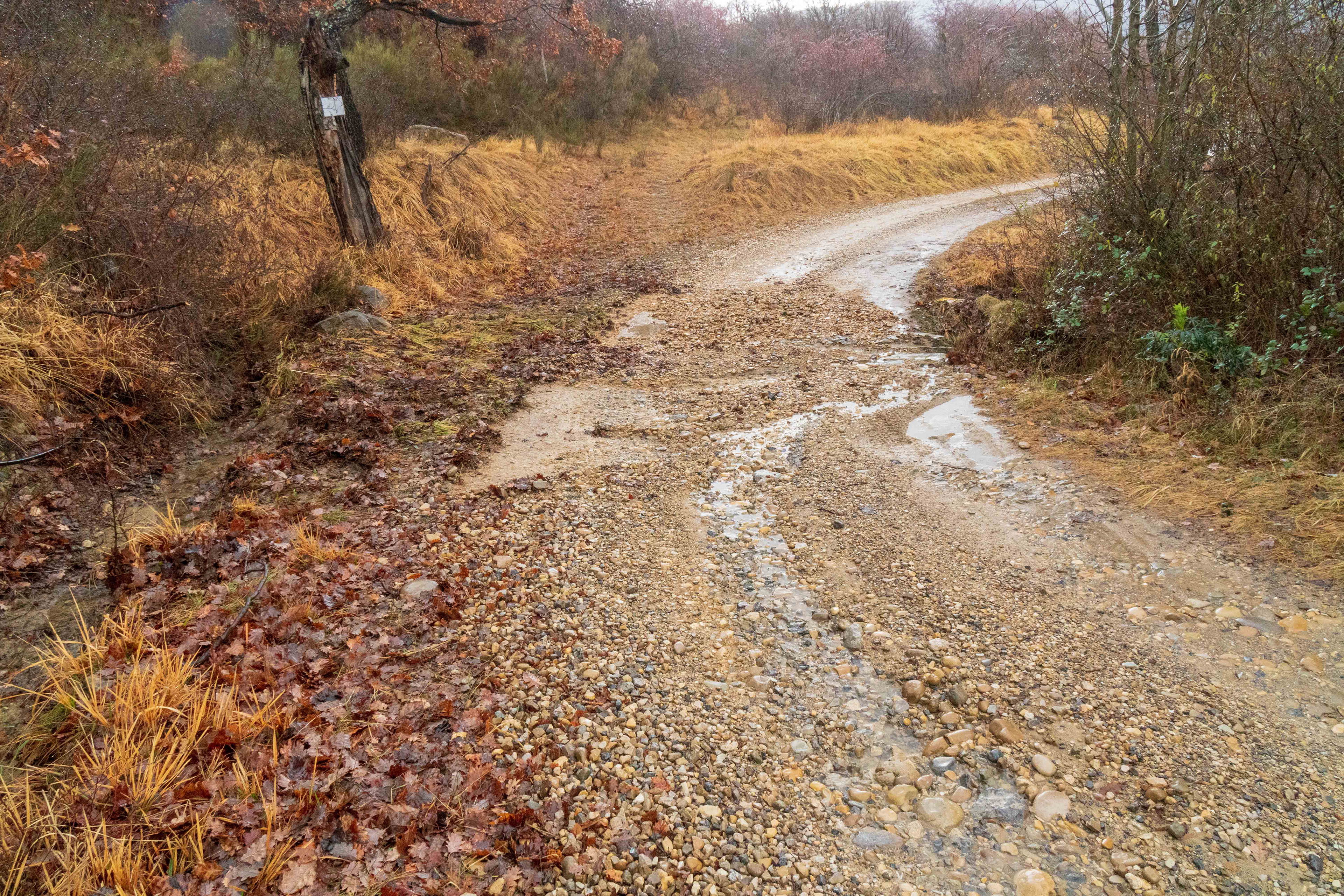 Chemin du Villard : Submergement au niveau du vallon du Samson