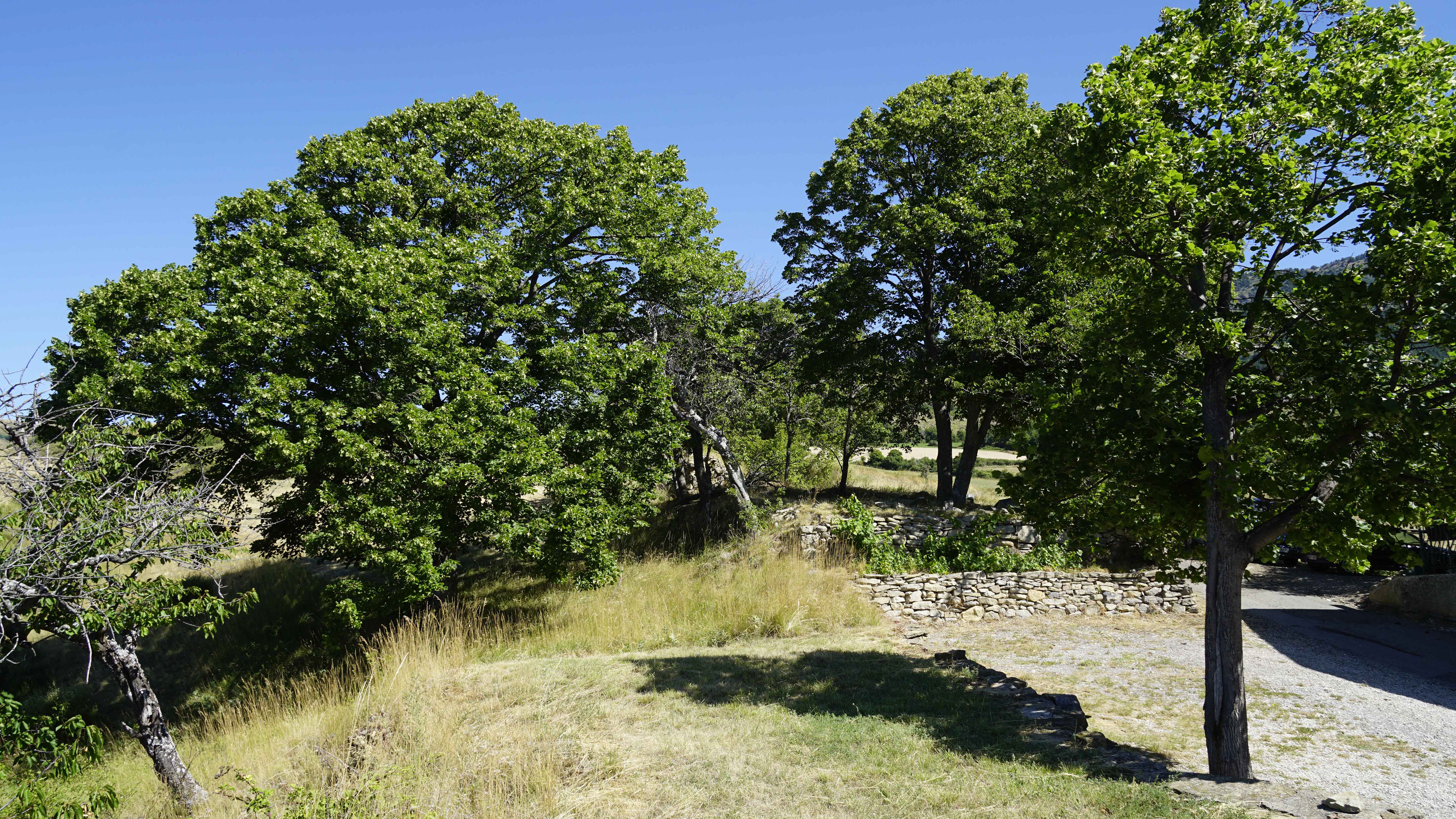 Le Castellard