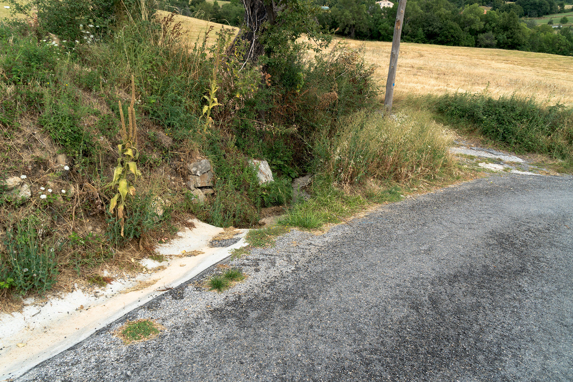 Partie réalisée en 2023 avec un évacuateur en 200 mm et pose de plusieurs grilles de récupération des eaux pluviales