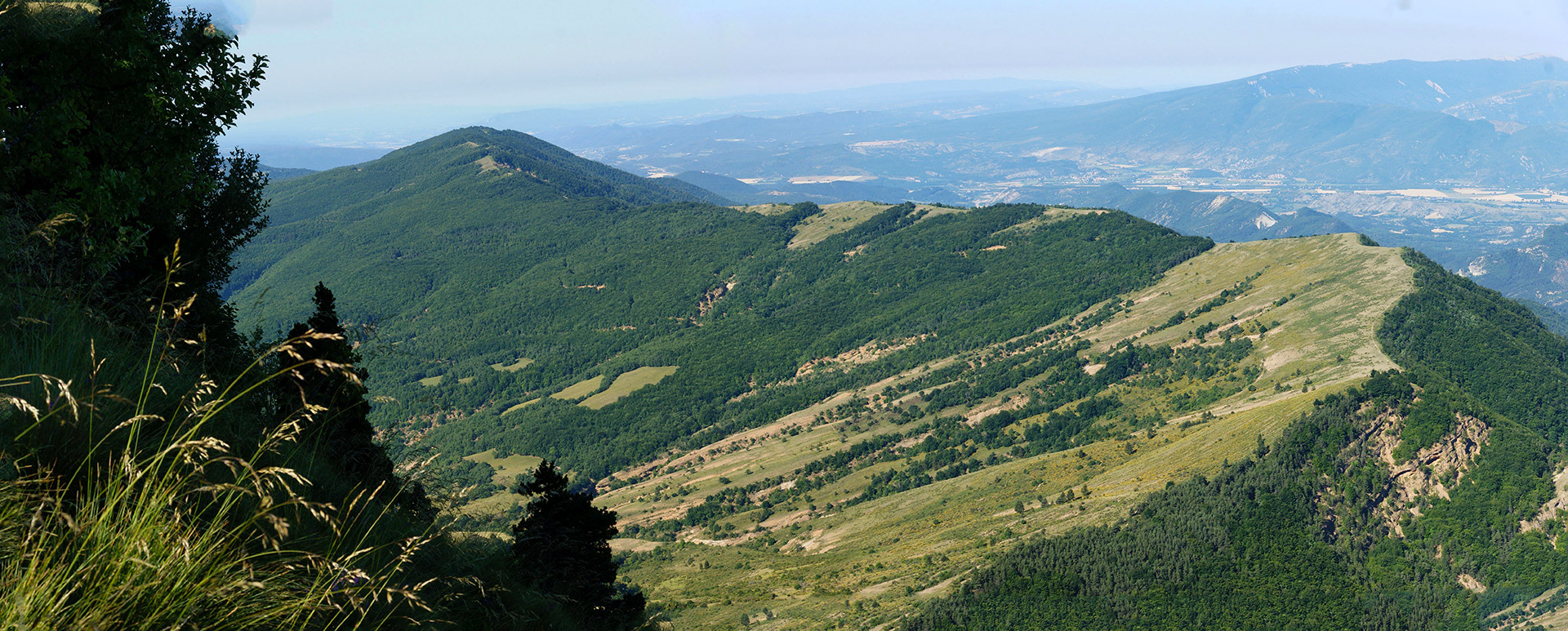 Crête et sentier GTPA sur la montagne colline de Saint-Joseph