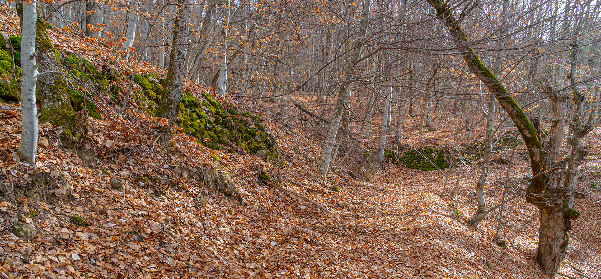 Entre le col de Mounis et le Vançon