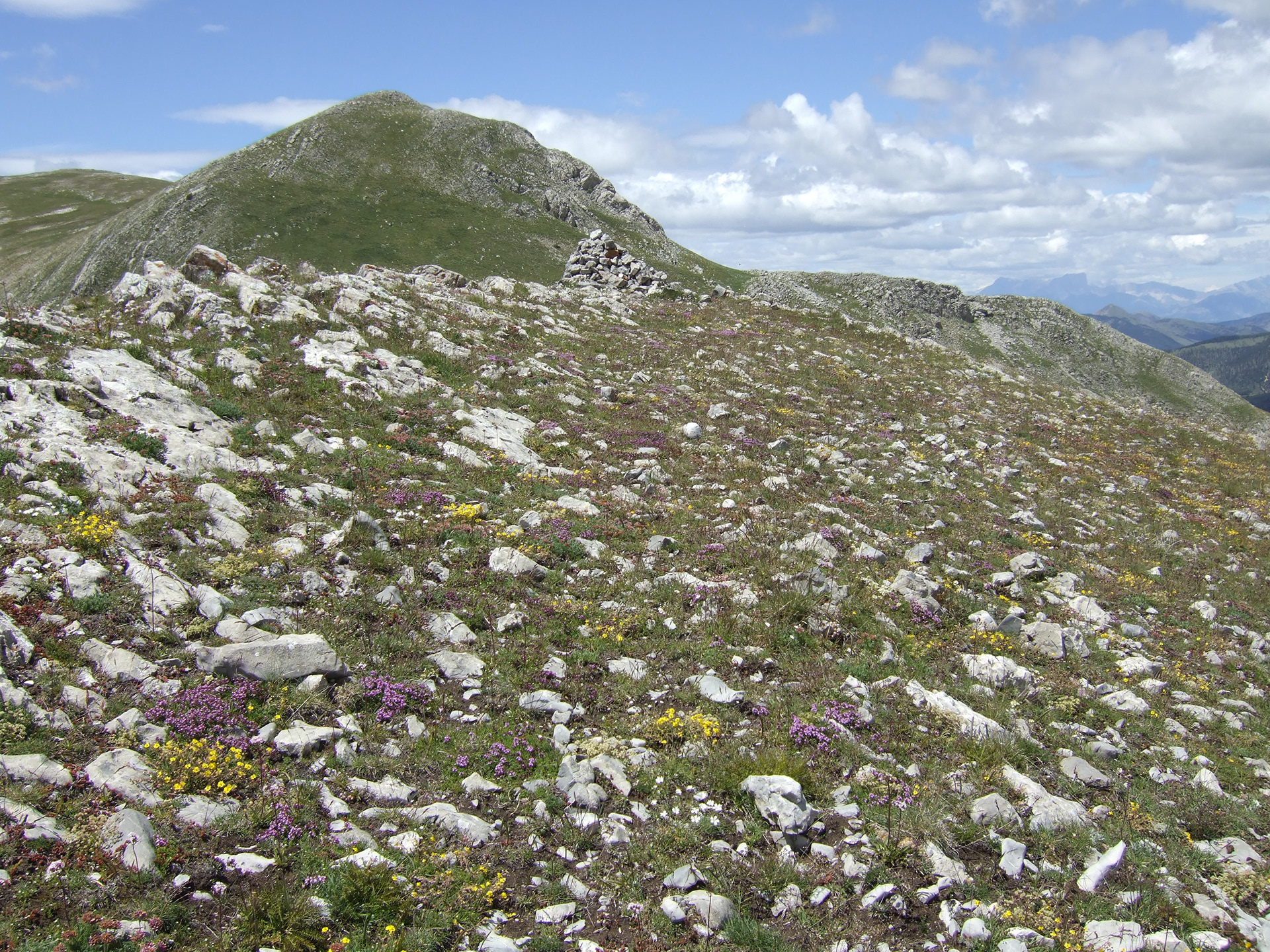 Au sommet des pâturages emblématique, de part leur dimension et leur esthétique, de Chine