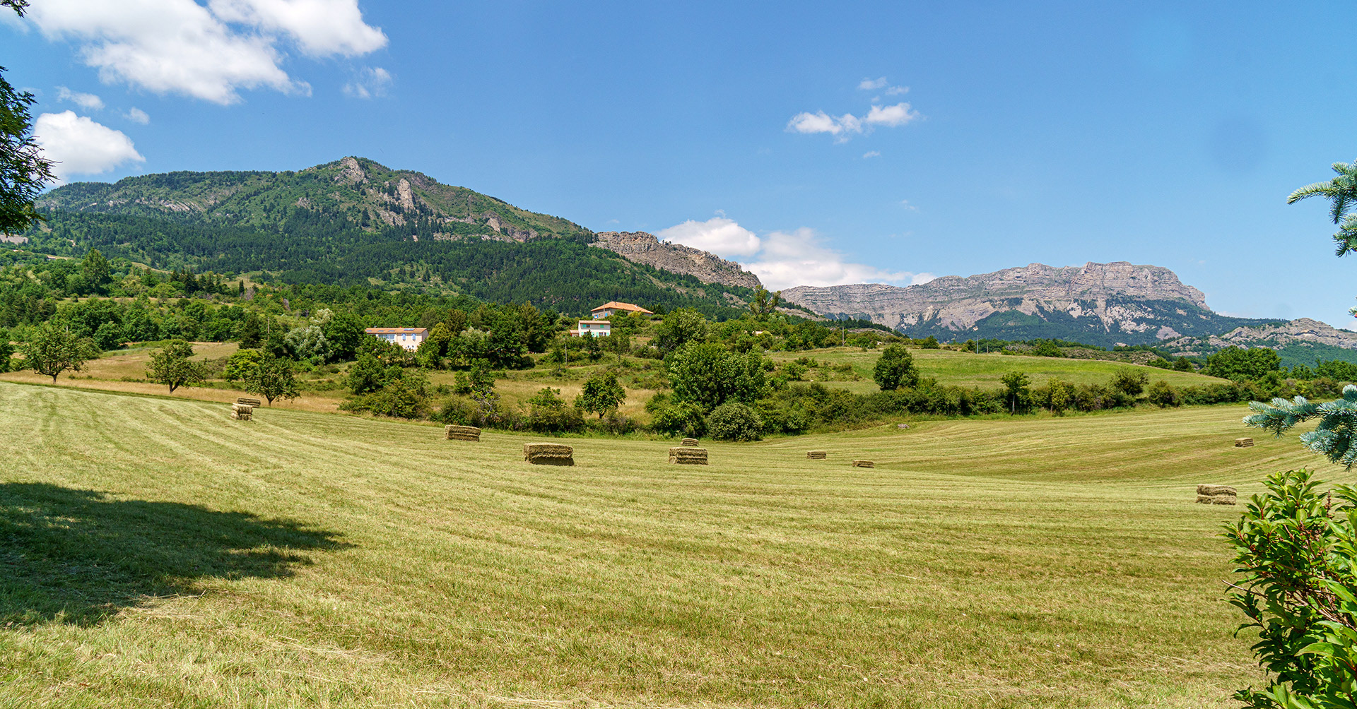 Prairies naturelles