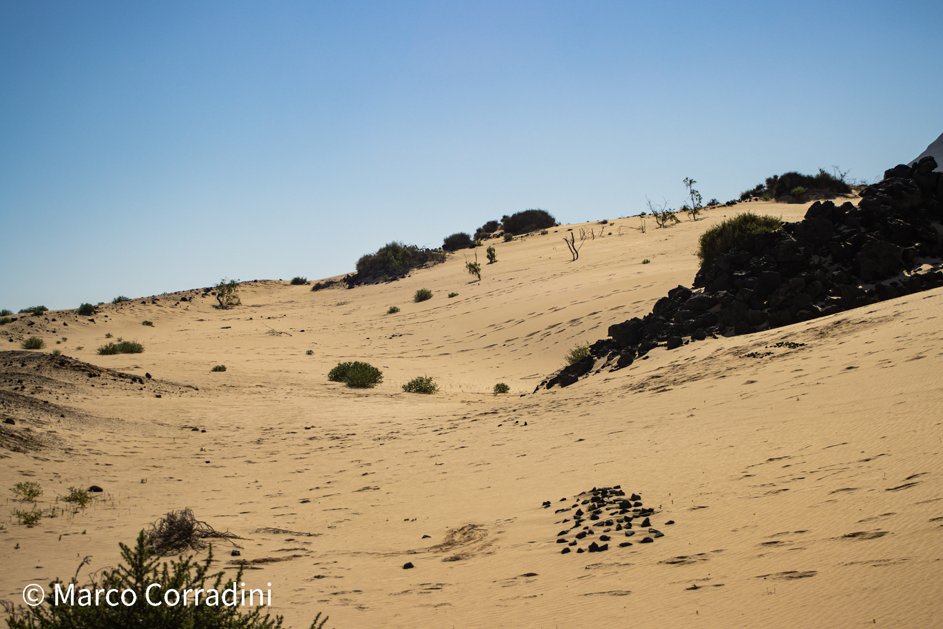 Corralejo Dunas National Park
