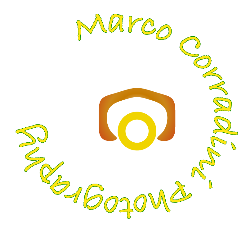 Marco Corradini