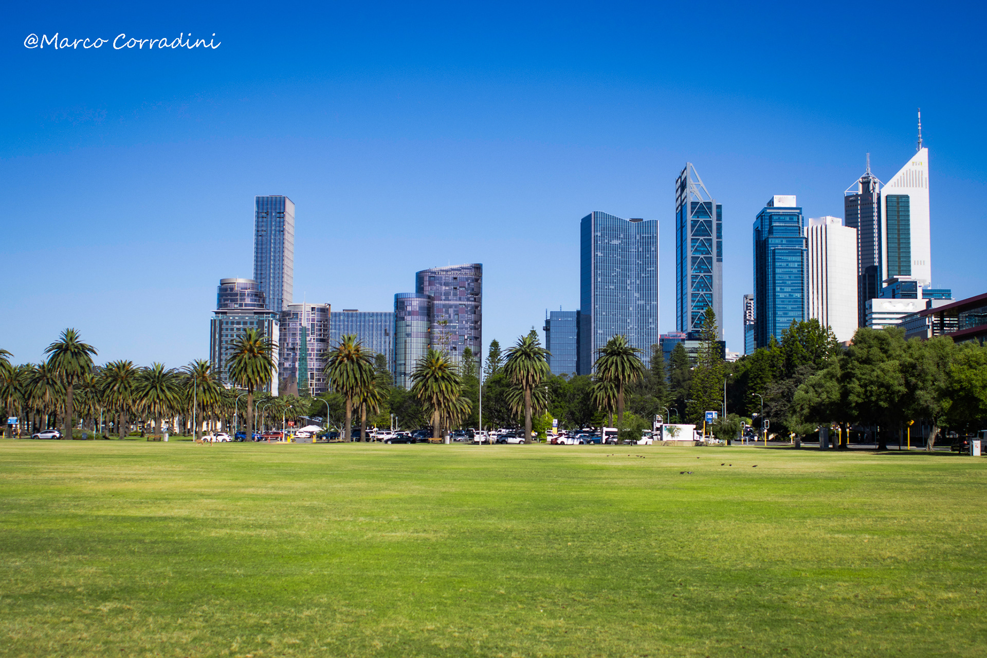 Perth, skyline, grass, garden, city, Australia