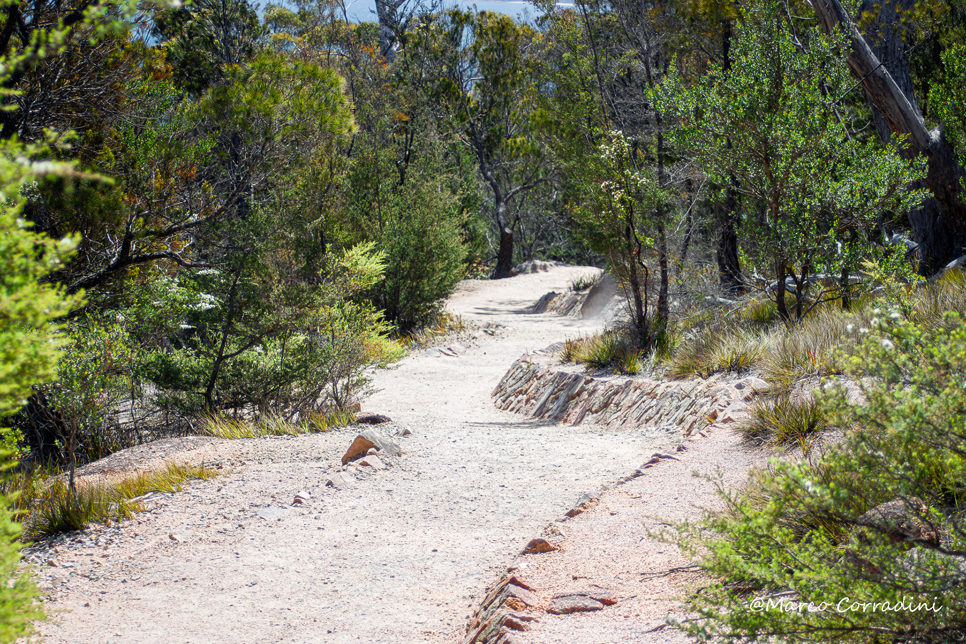 Freycinet national park, Tasmania, footpath, Tasmania, Australia