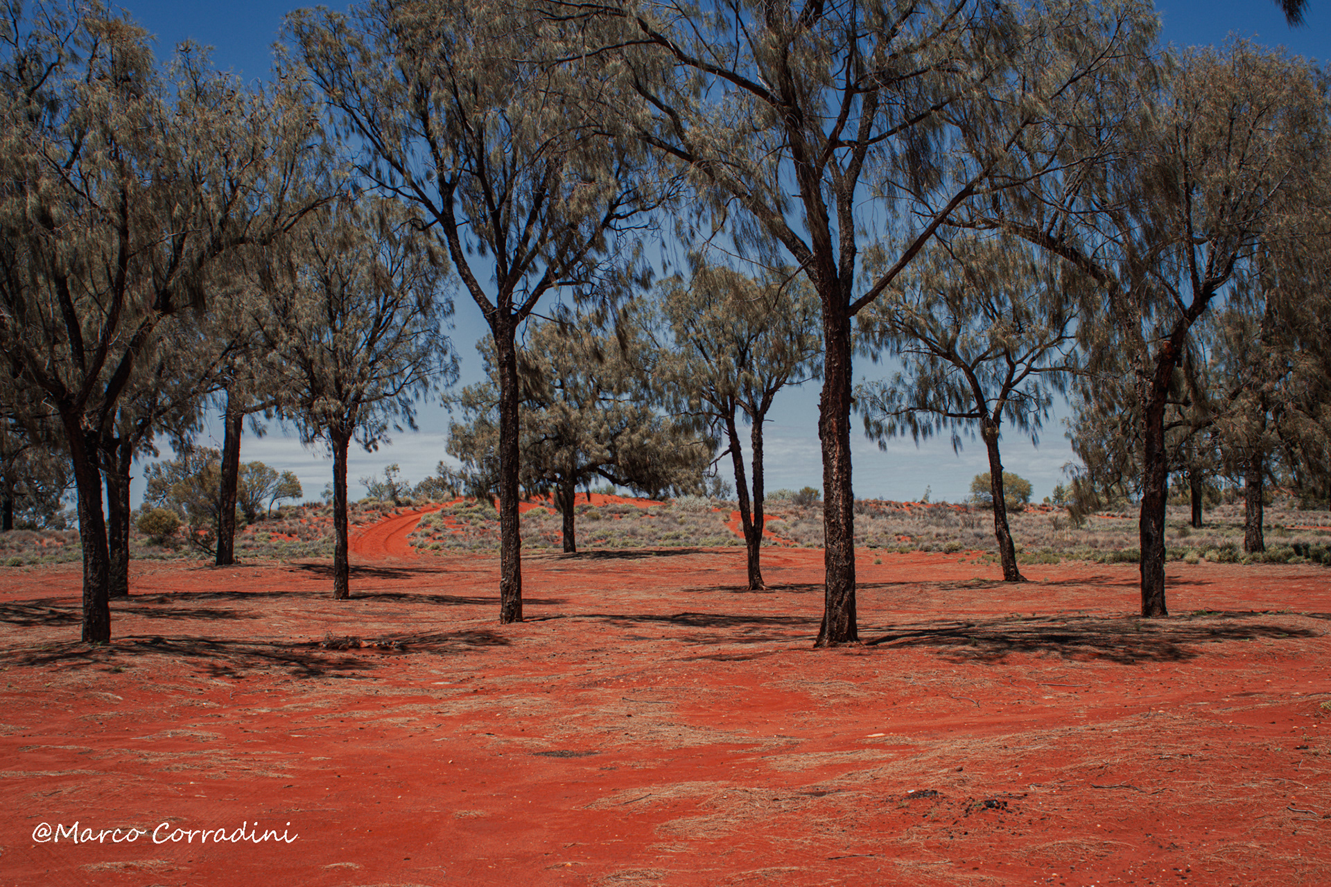 red sand and trees, Australia