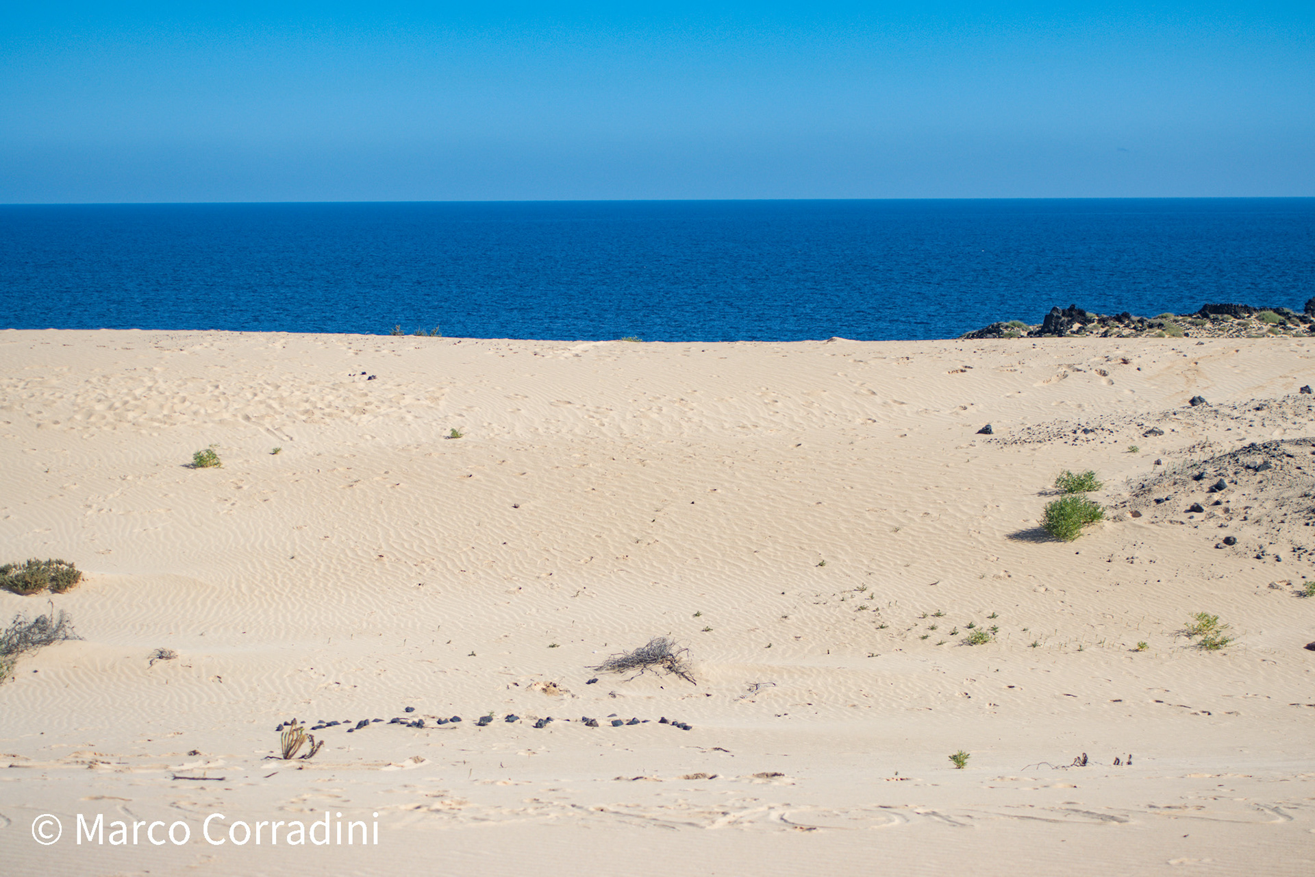The dunes and the sea