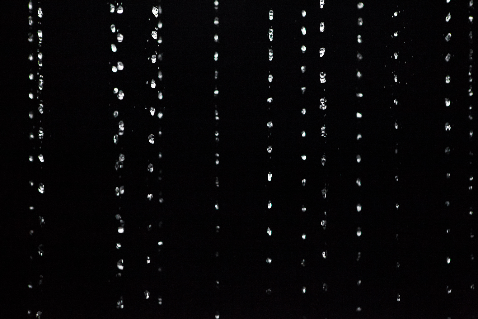 Depuis la nuit suspendue des temps, Christian Delécluse © Marion Gotti