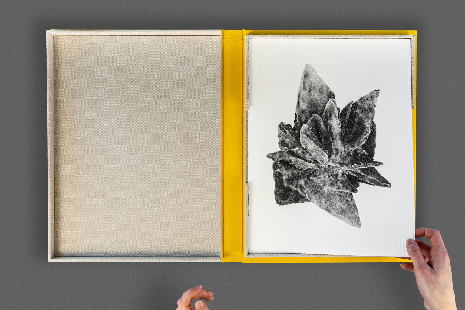 Portfolio collaboratif - Julie Bellavance © Marion Gotti