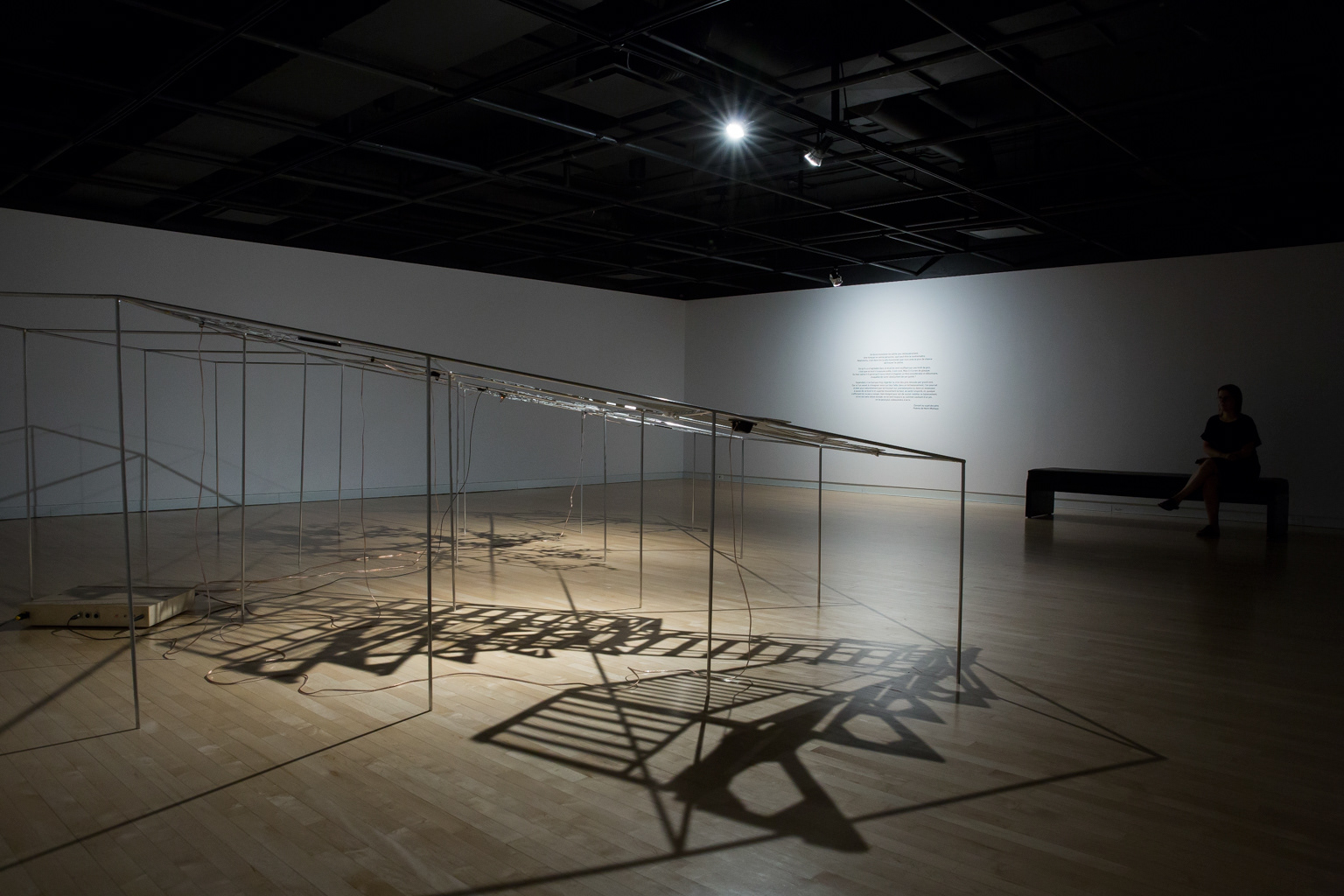 Quand un arbre tombe..., Caroline Gagné, Biennale de Trois-rivières © Marion Gotti