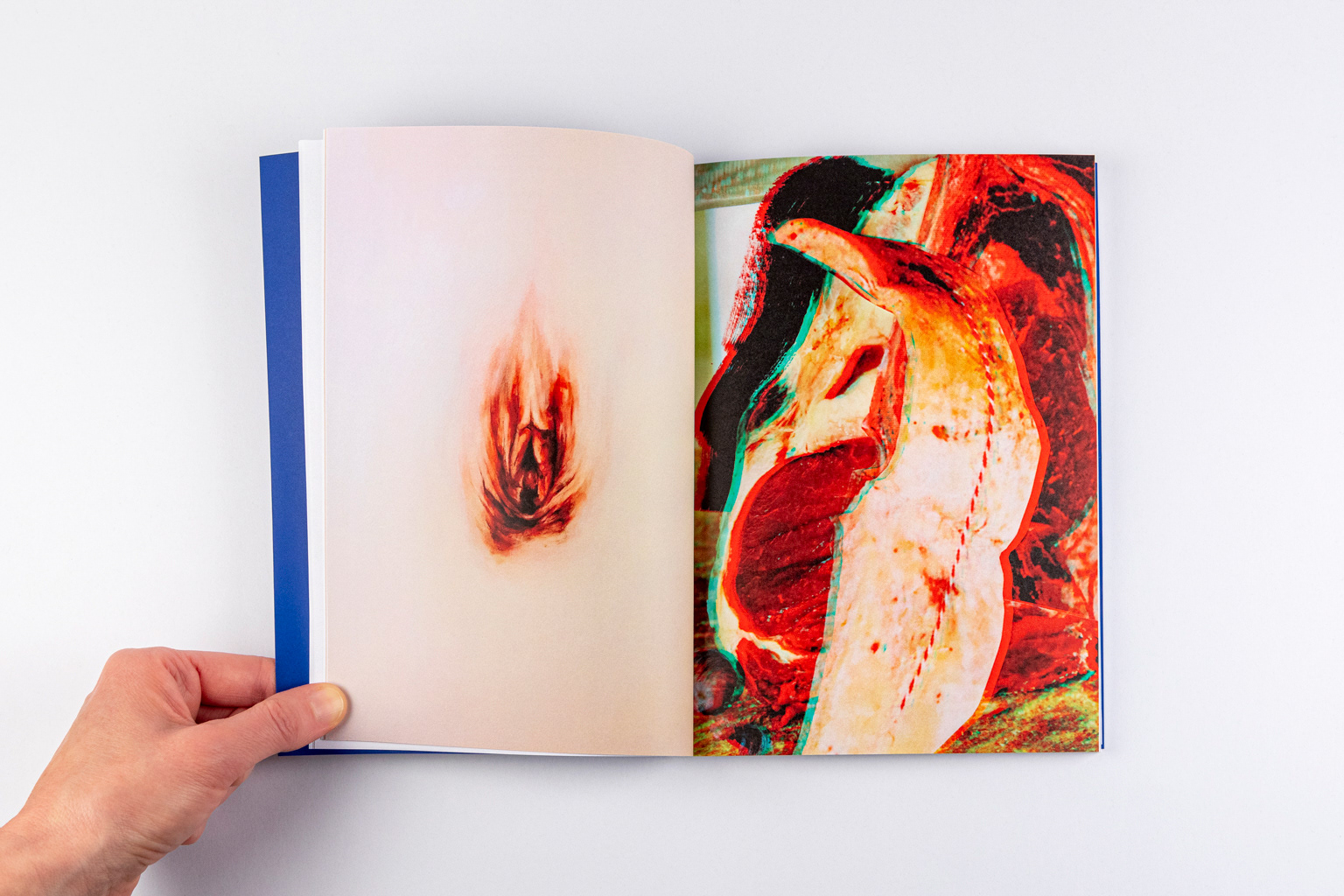 Publication Viande(s) à chienne(s), Catherine McInnis © Marion Gotti