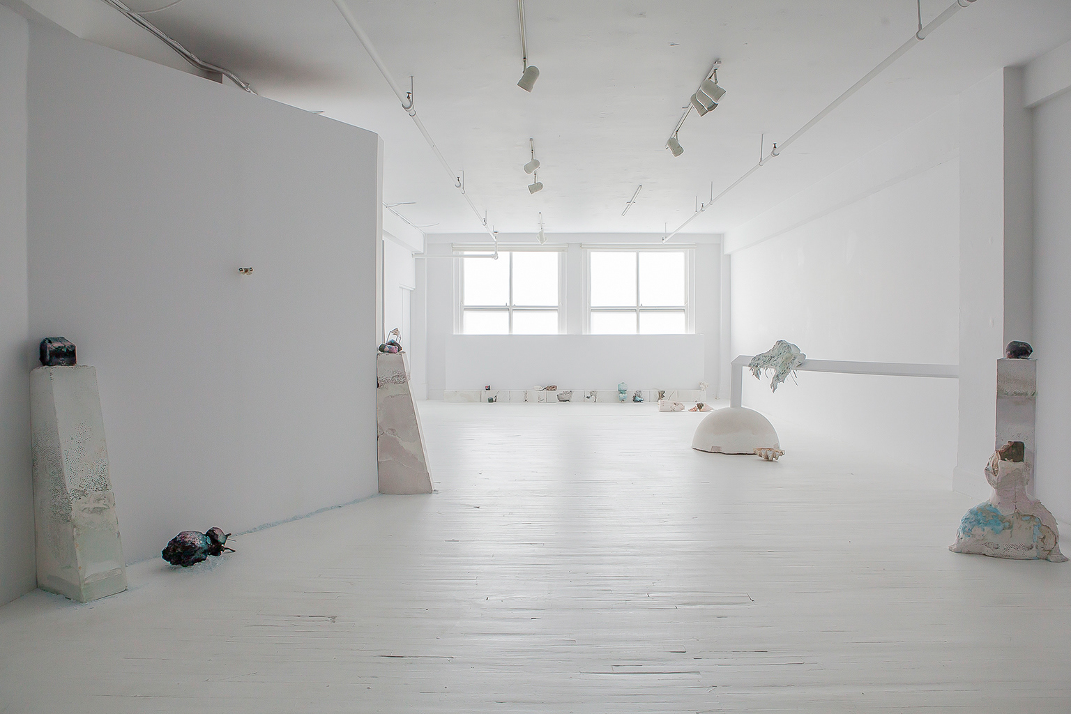Exposition The Fourth Kingdom, Maude Bernier Chabot, CIRCA © Marion Gotti