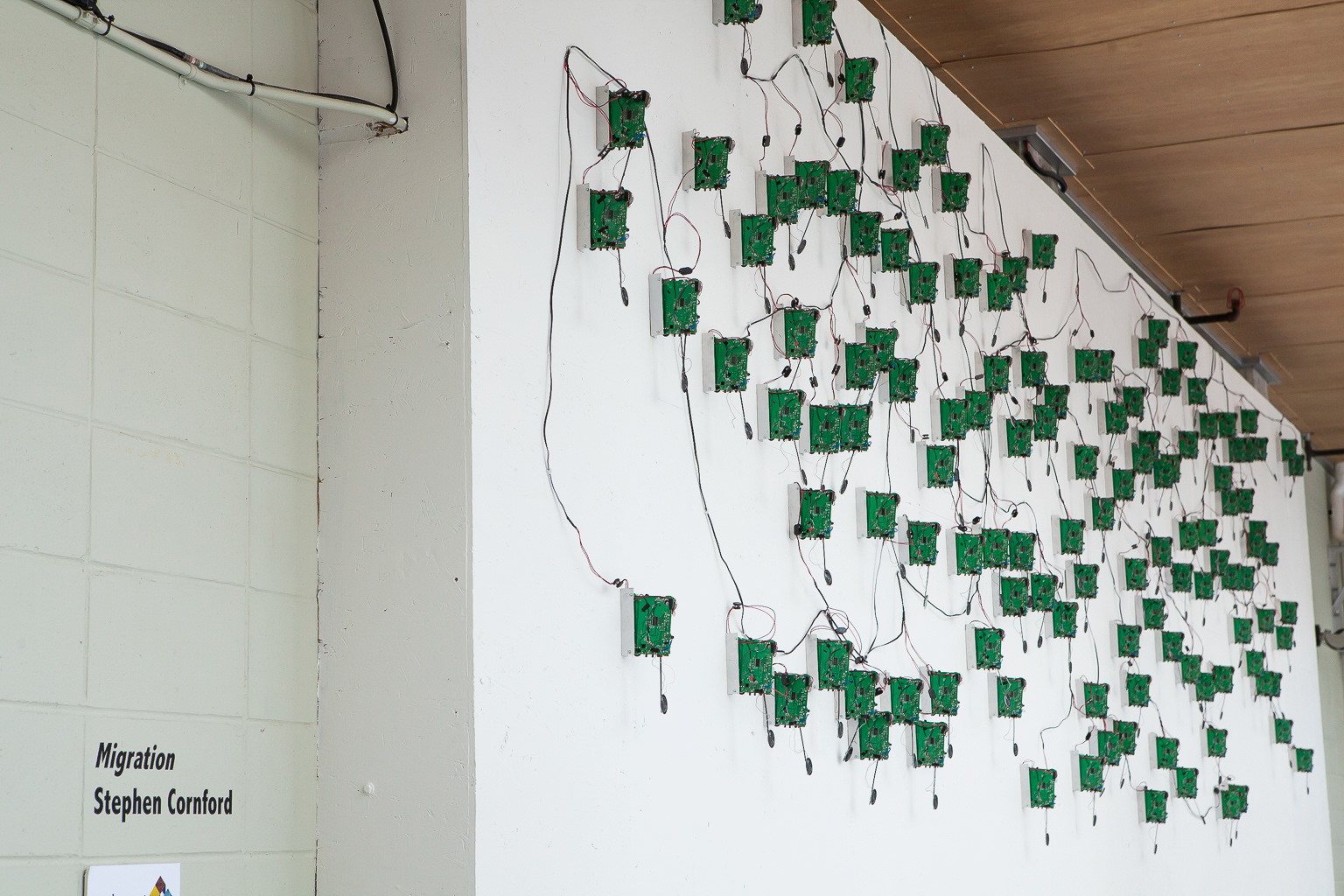 Migration, Stephen Cornford, Mois Multi © Marion Gotti
