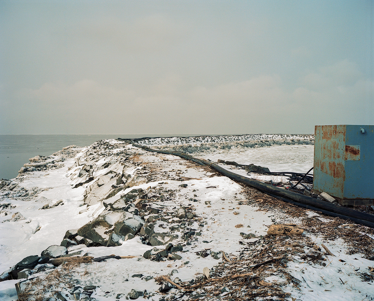 © Marion Gotti